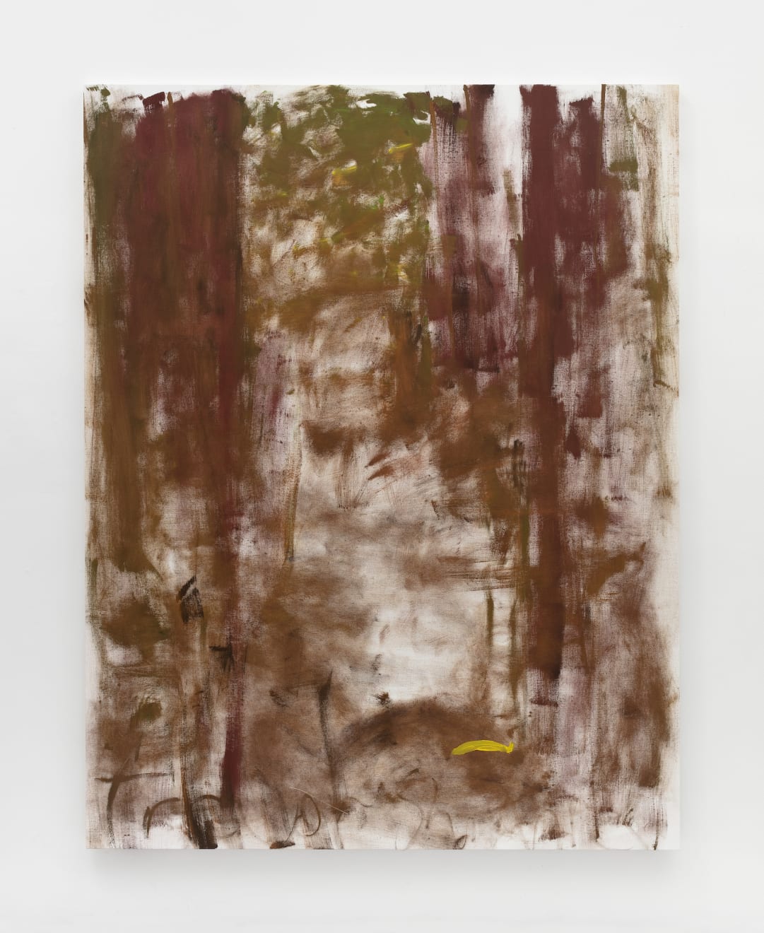 Trevor Shimizu, Redwood Trees and Banana Slug, 2019