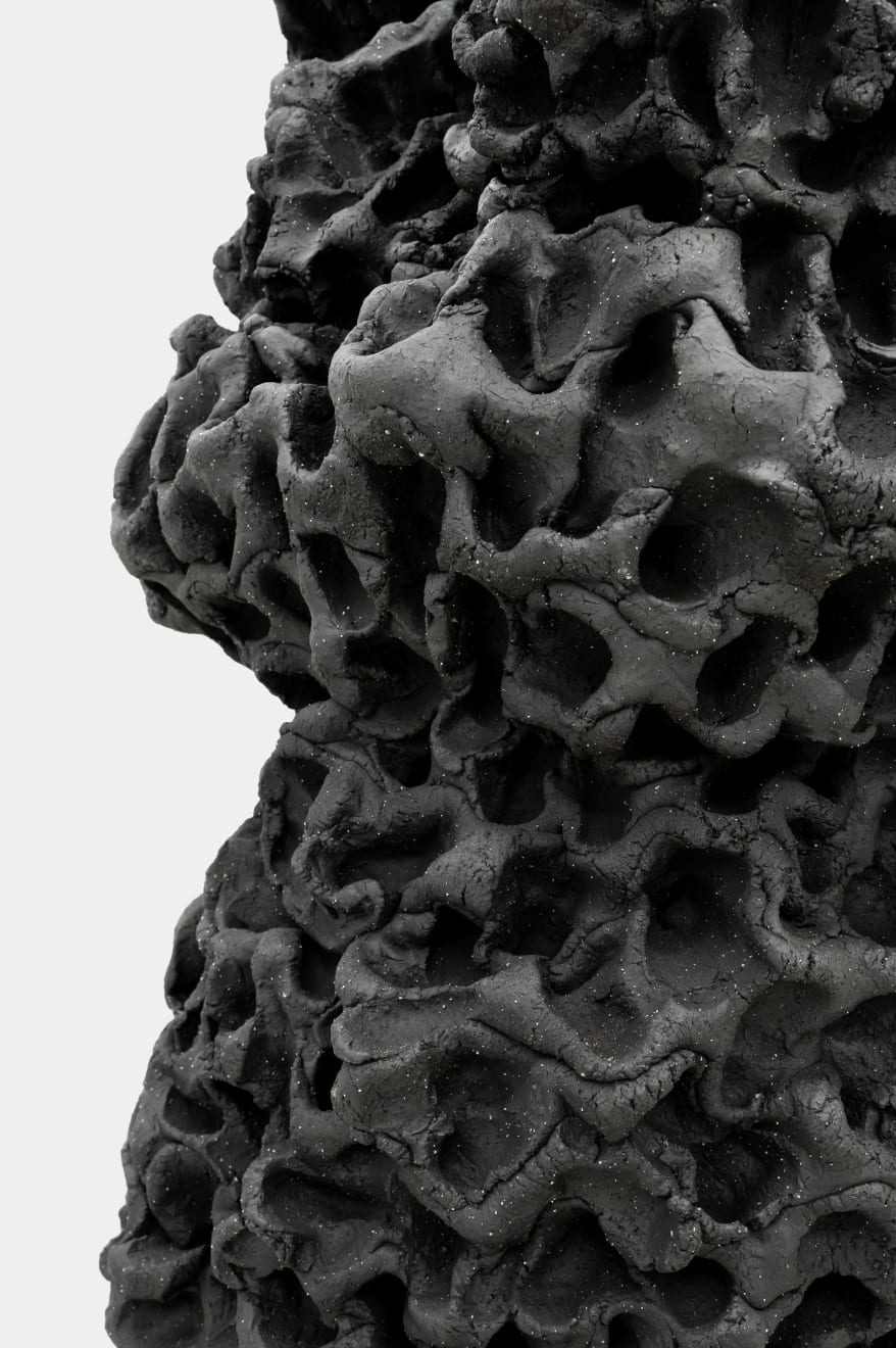 Satoru Hoshino, Frozen Cloud No. 2 / 凍雲 No.2, 2001