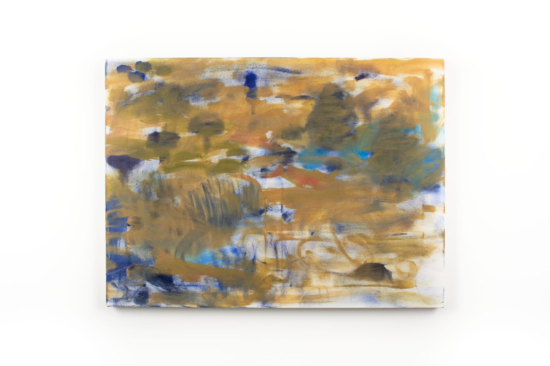 Trevor Shimizu, Marsh Small (2), 2019