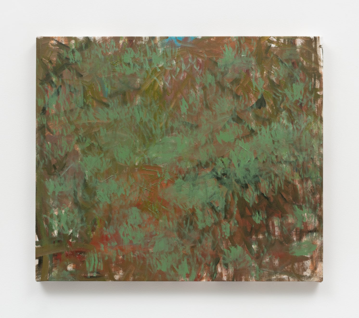 Trevor Shimizu, Moss (2), 2019