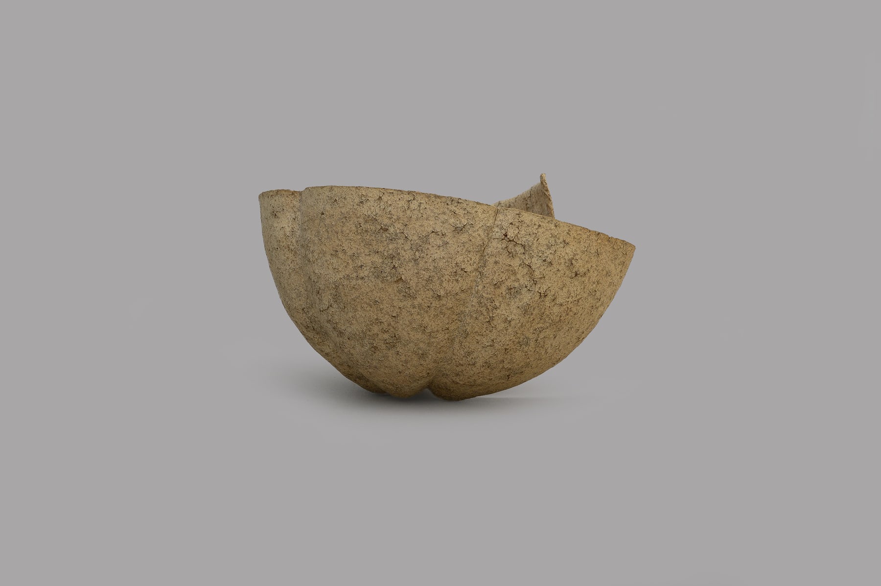 Keita Matsunaga, 手話 (A) - Shuwa (A), 2019