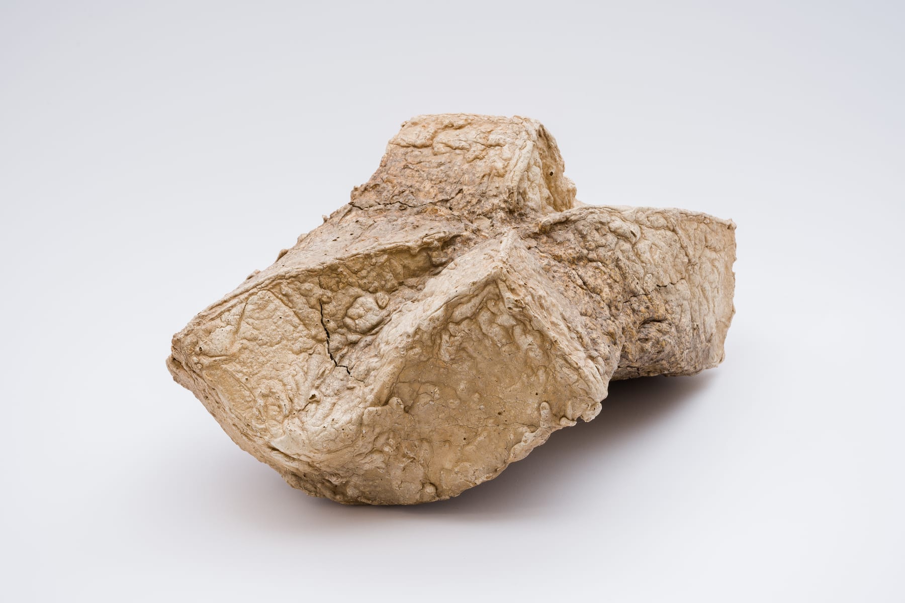 Keita Matsunaga, Cocoon, 2021