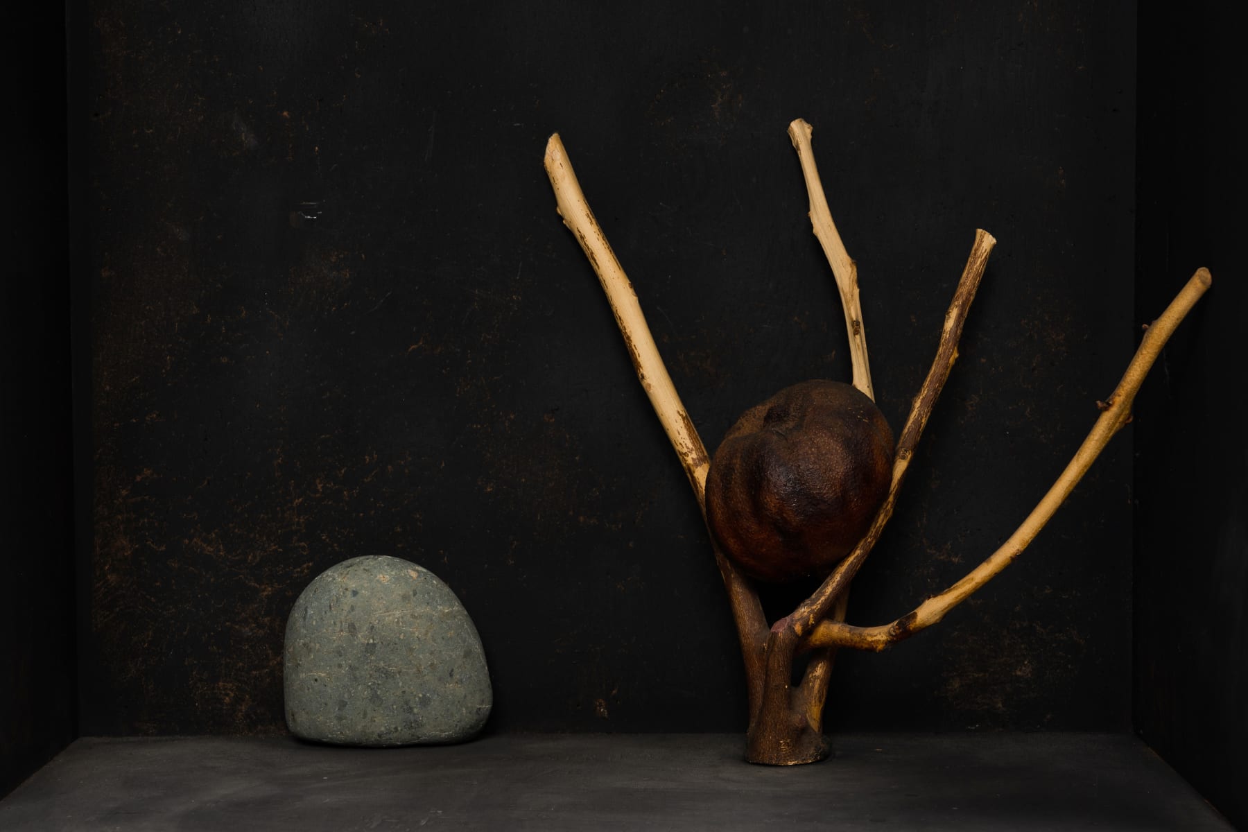 Kenzi Shiokava, Untitled, n.d.