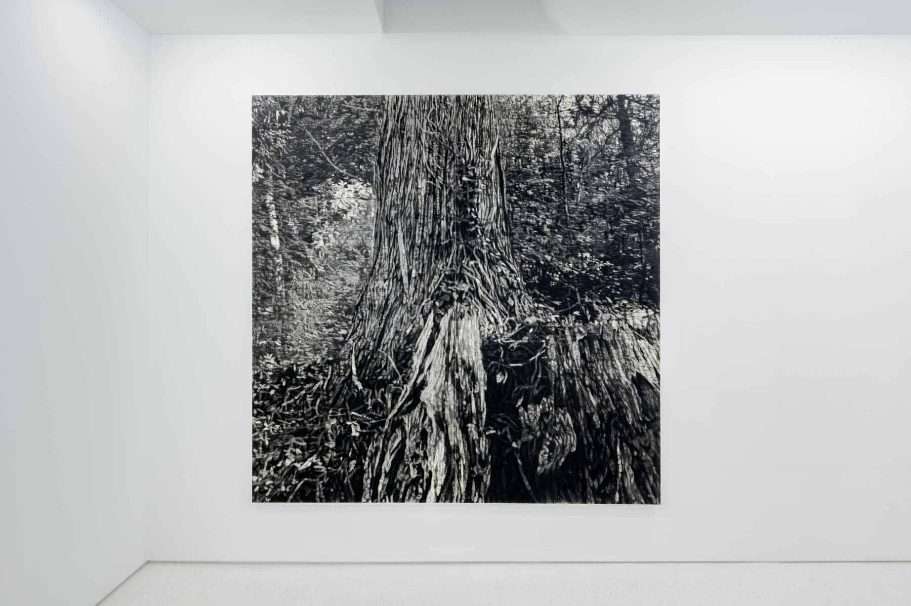 Takeshi Honda, Walking in the Mountains - August, 1992