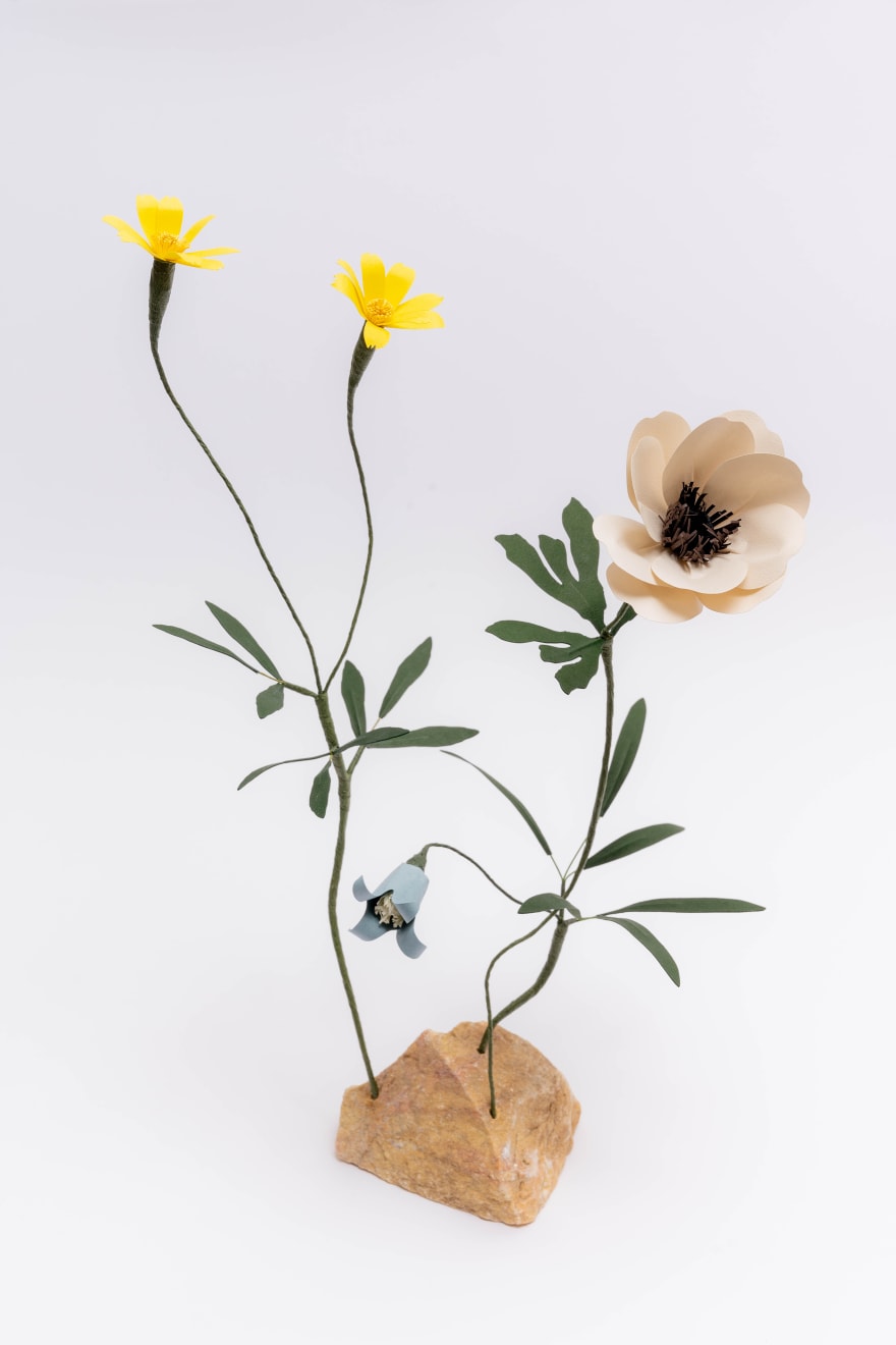 Megumi Shinozaki: edenworks, Ikebana, 2022