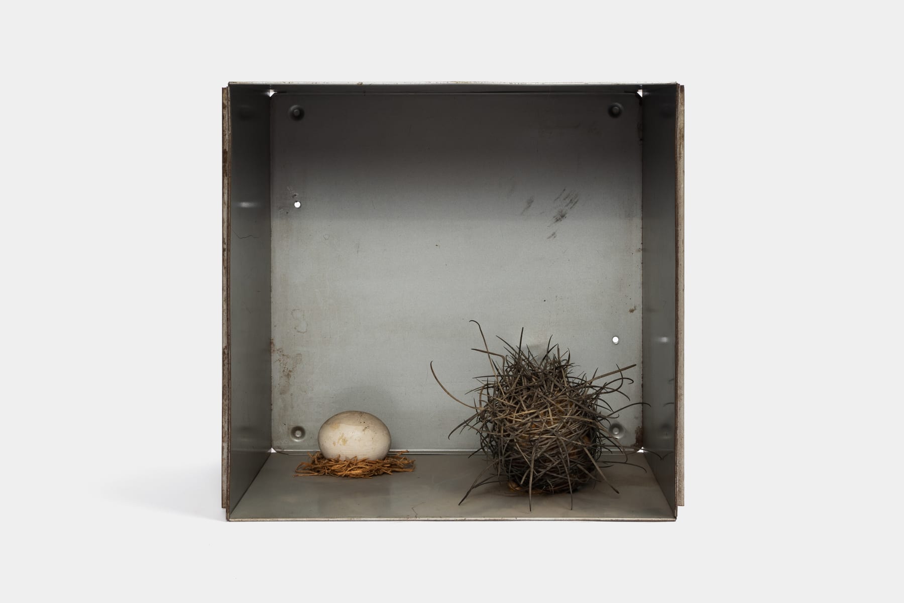 Kenzi Shiokava, Untitled, c. 1999