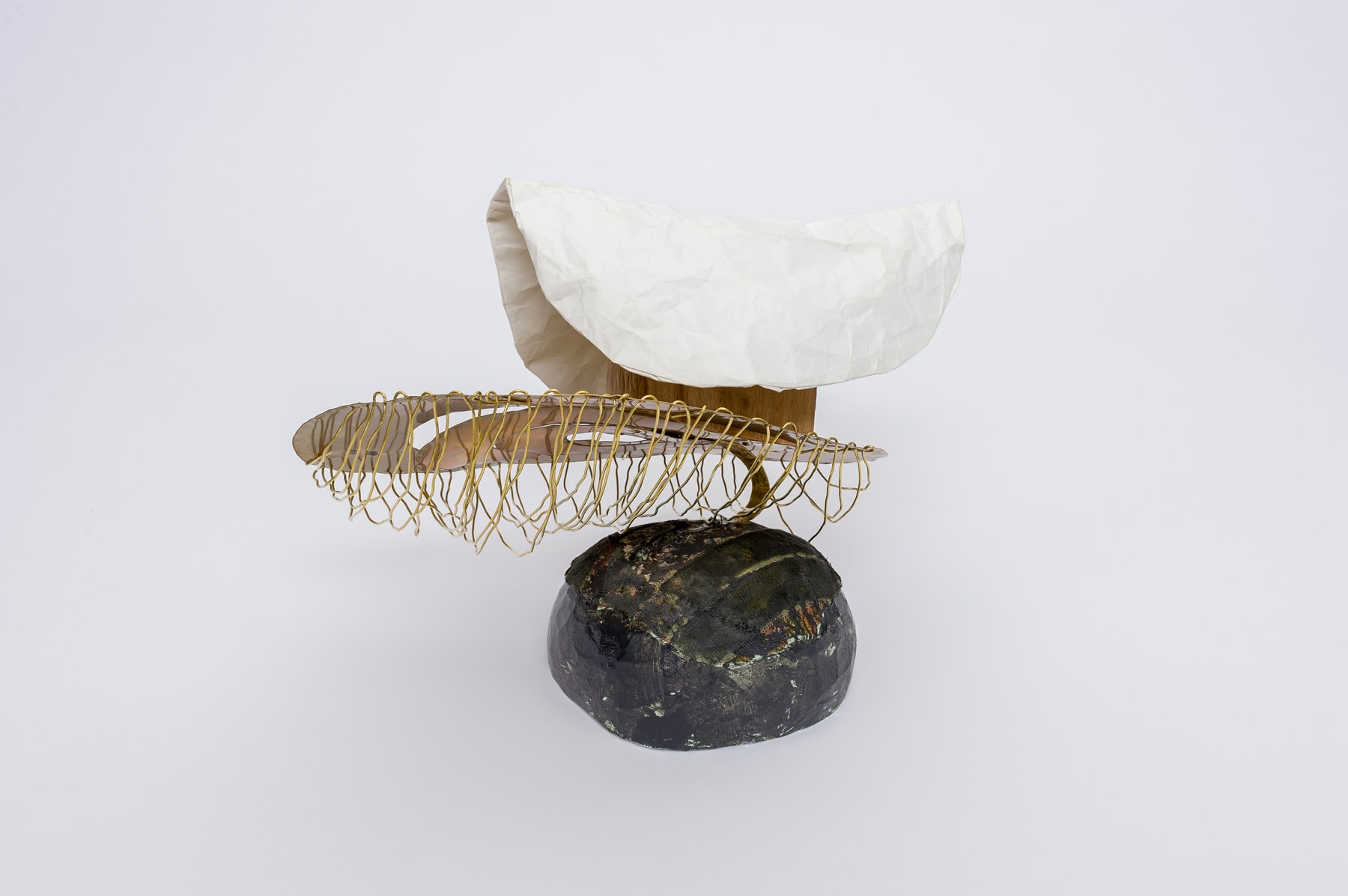 Miho Dohi, buttai 54, 2019