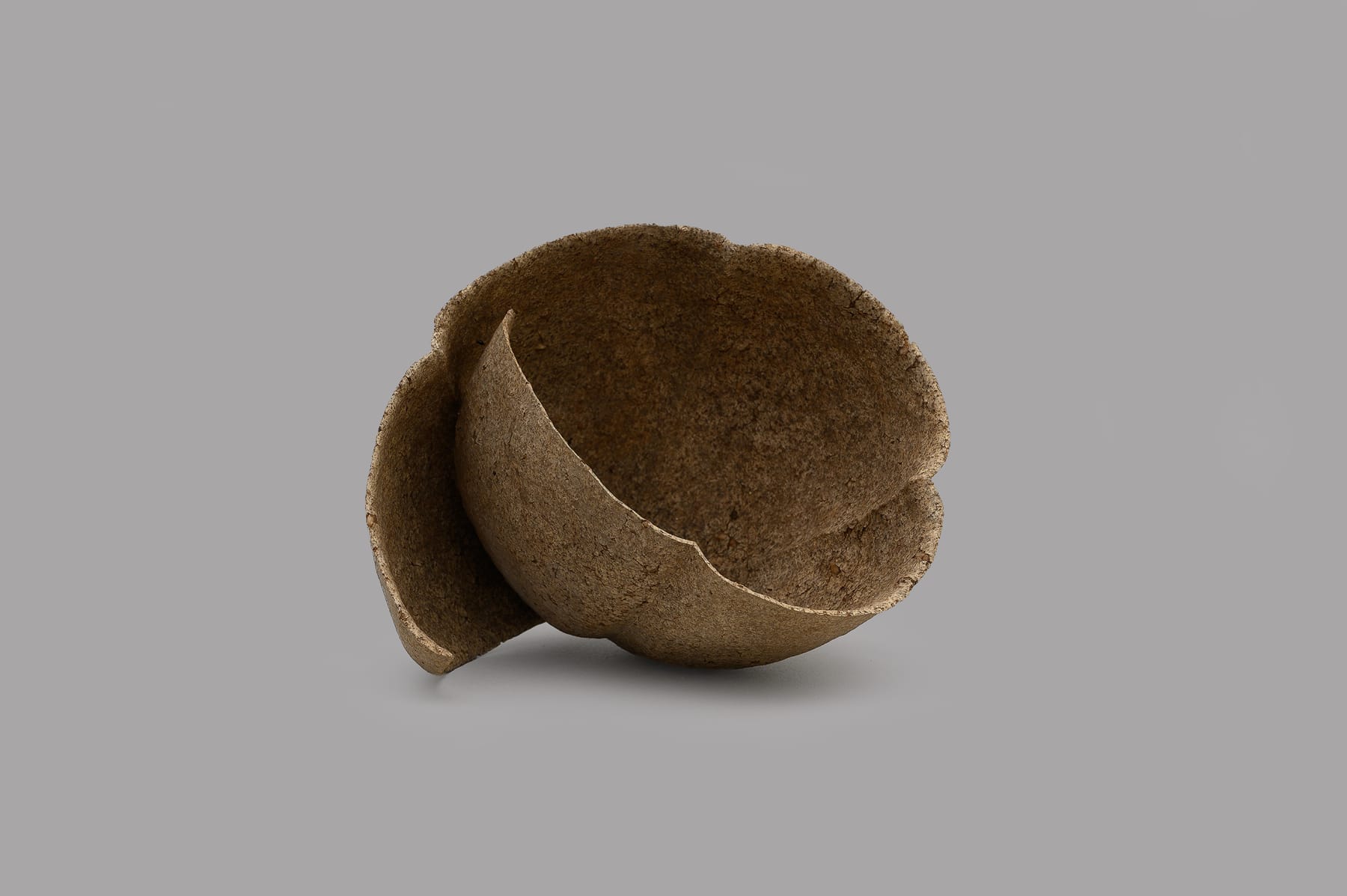 Keita Matsunaga, 手話 (B) - Shuwa (B), 2019