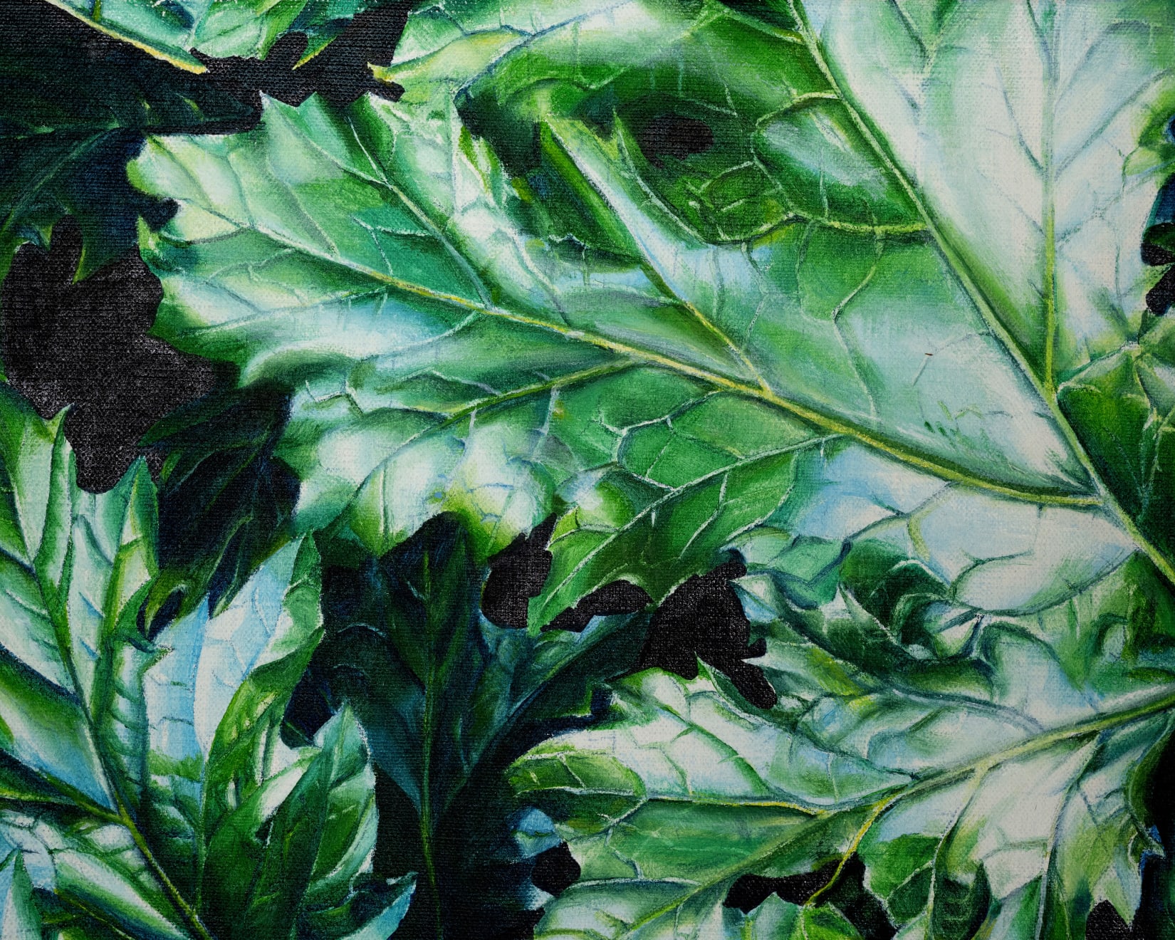 Kaoru Ueda, Acanthus B, 2013