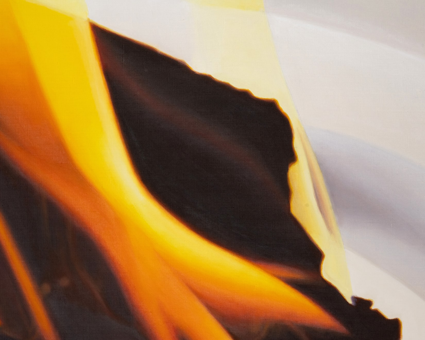 Kaoru Ueda, Flame on a Plate A, 1988