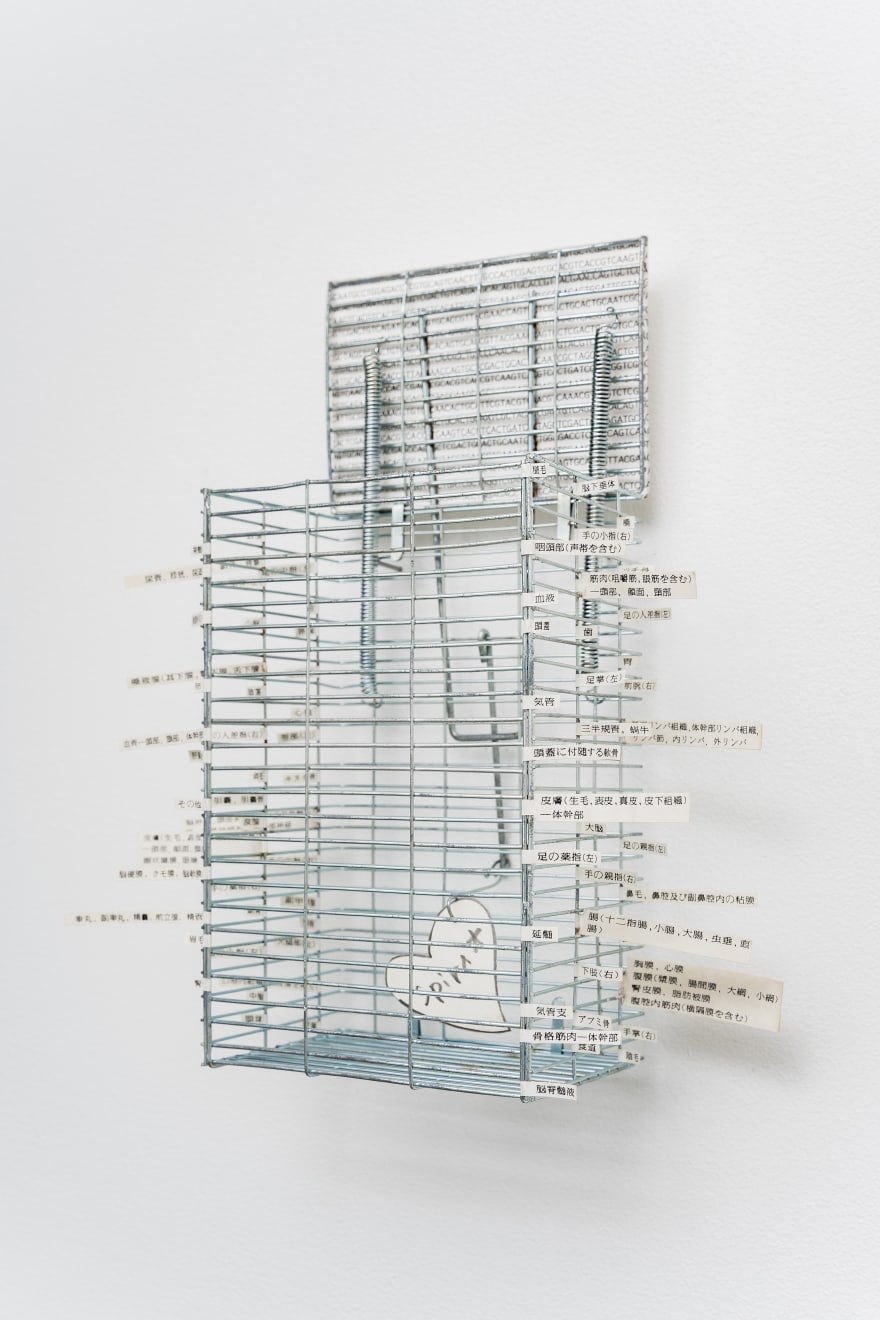 Shuzo Azuchi Gulliver, La dolce vita / A.T.C.G.(reality is sweet), Kyoto version, 2004