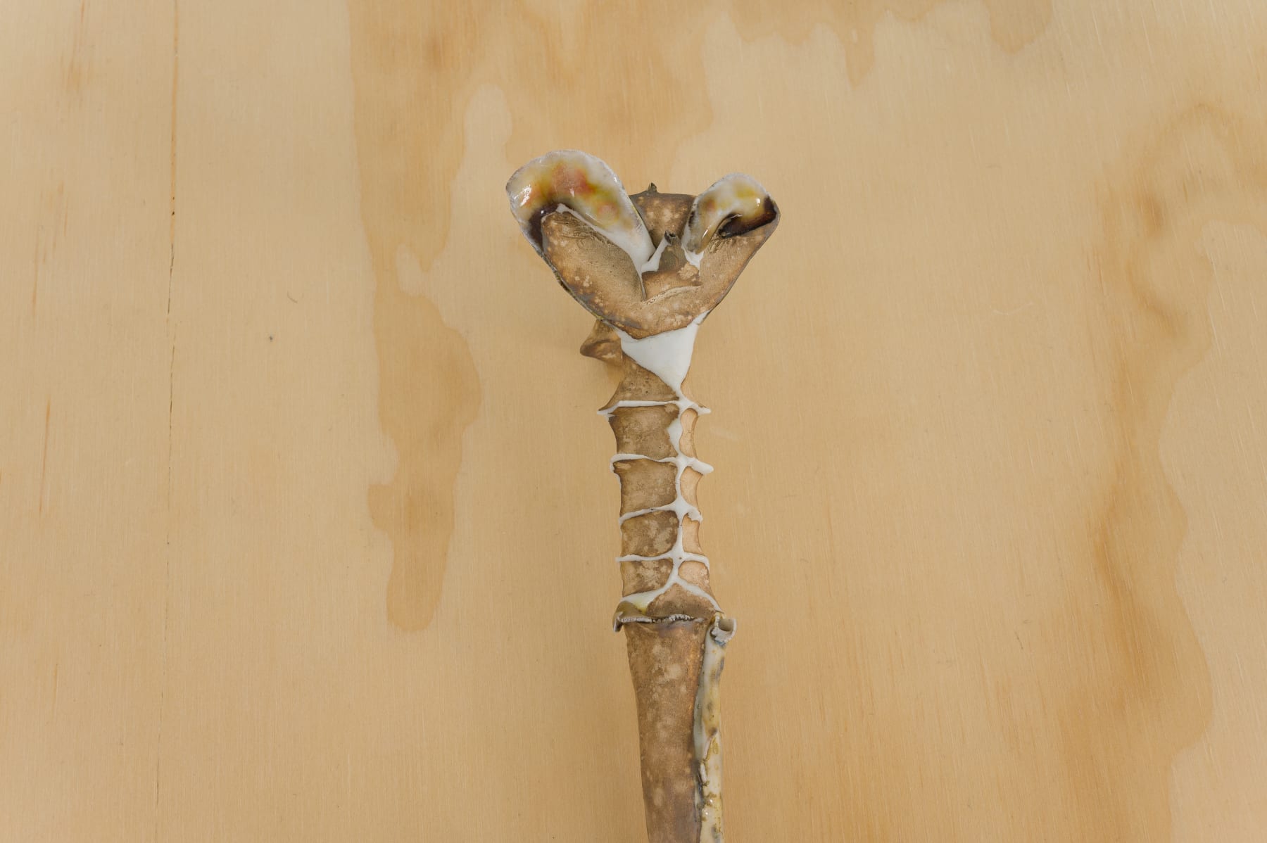Kentaro Kawabata, Spoon, 2003