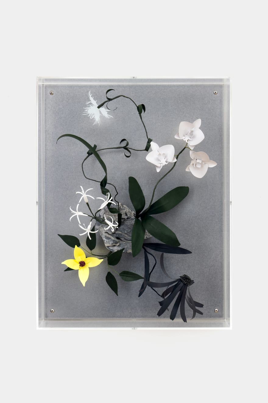 Megumi Shinozaki, Growth