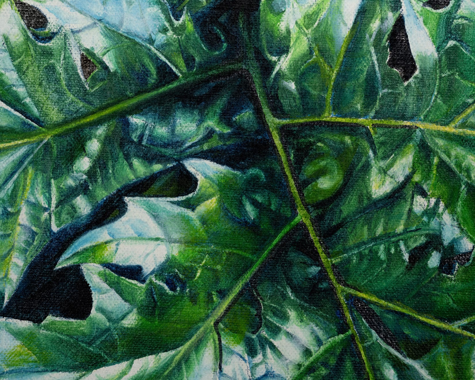 Kaoru Ueda, Acanthus B, 2013