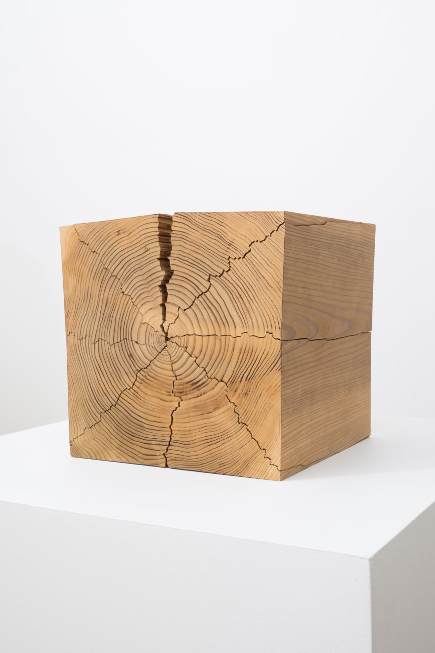 Kazuo Kadonaga, Wood No. 11 BX, 1982