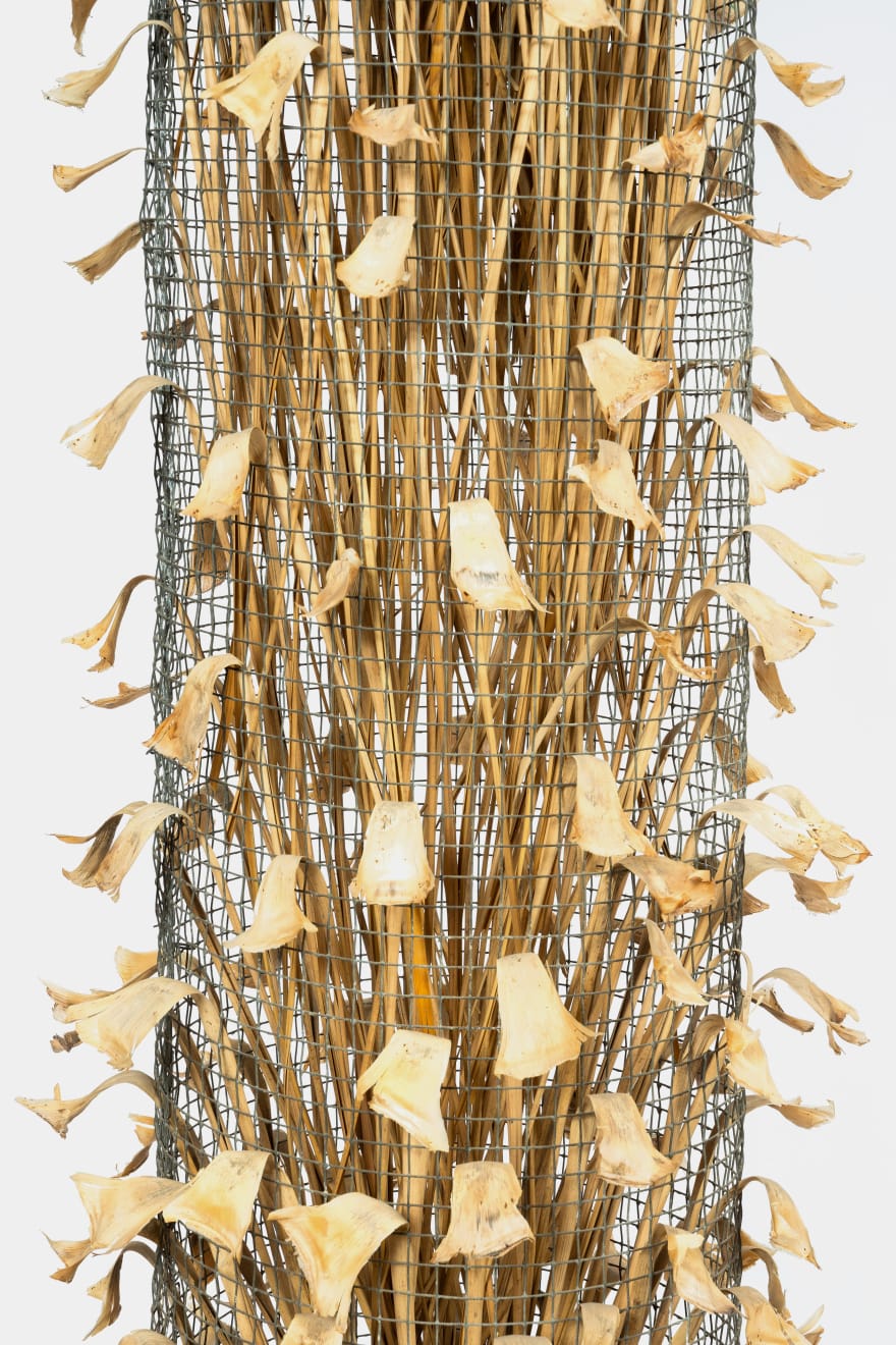 Kenzi Shiokava, Untitled, 2005