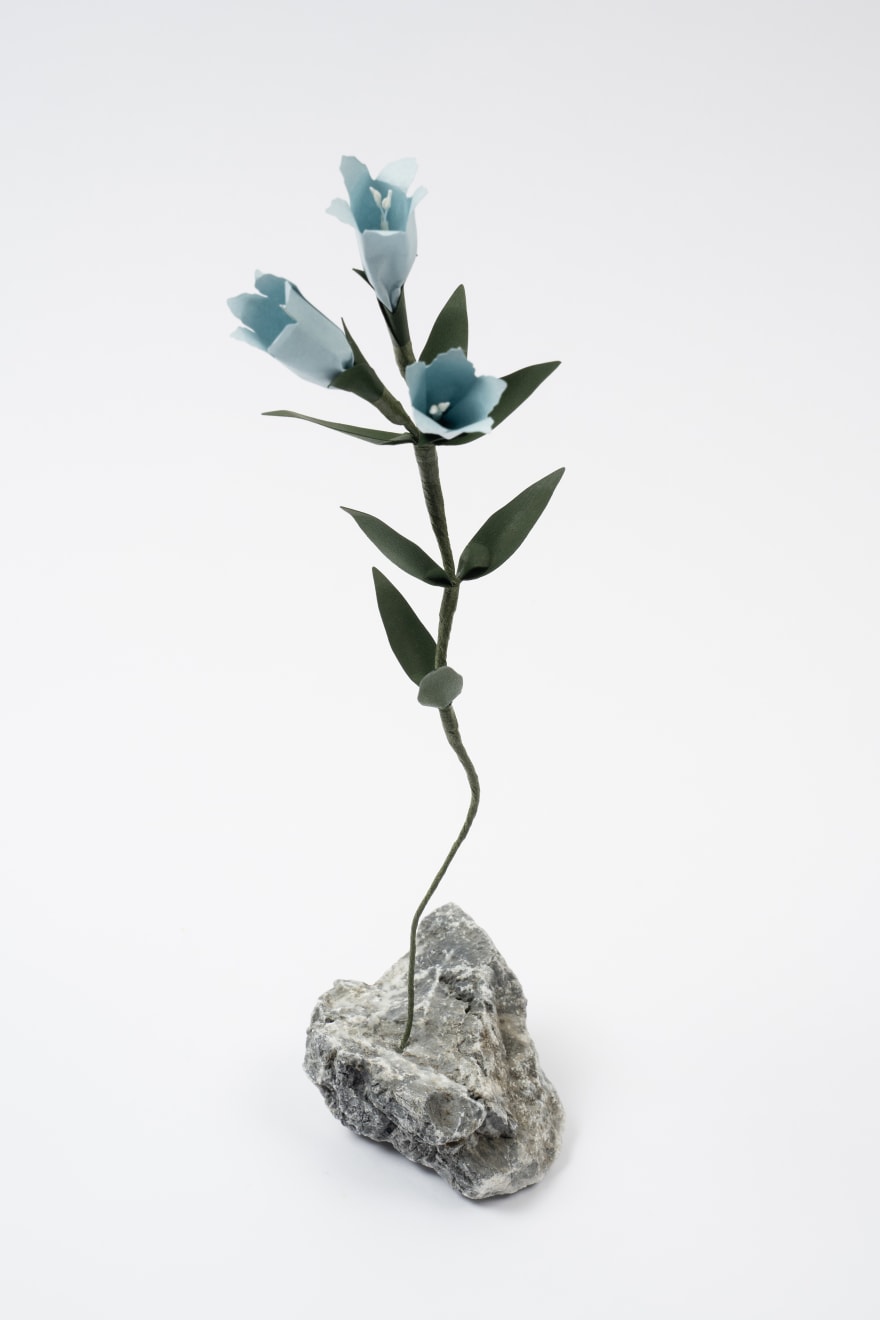 Megumi Shinozaki, Gentian, 2023