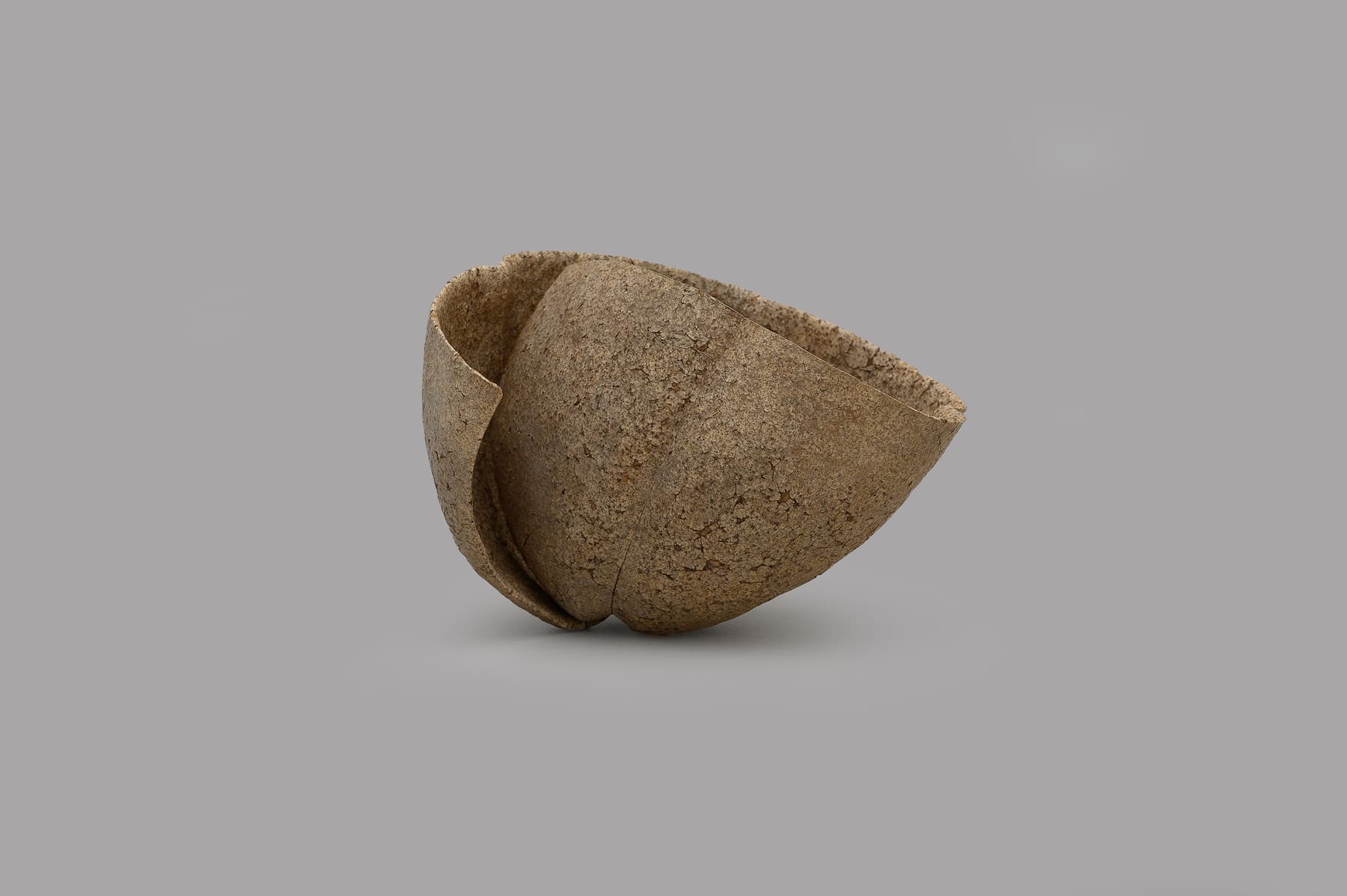 Keita Matsunaga, 手話 (B) - Shuwa (B), 2019