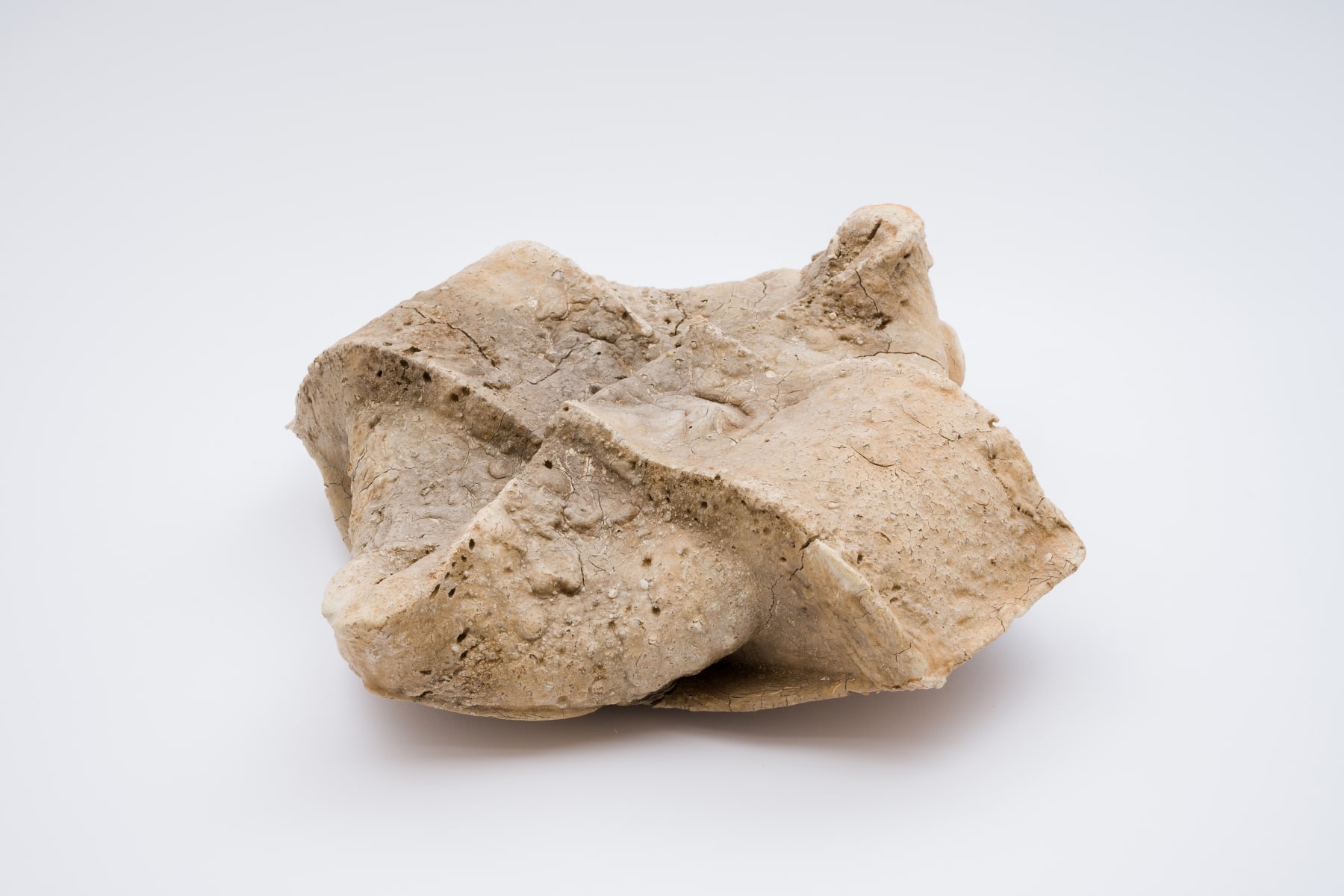 Keita Matsunaga, cocoon, 2021