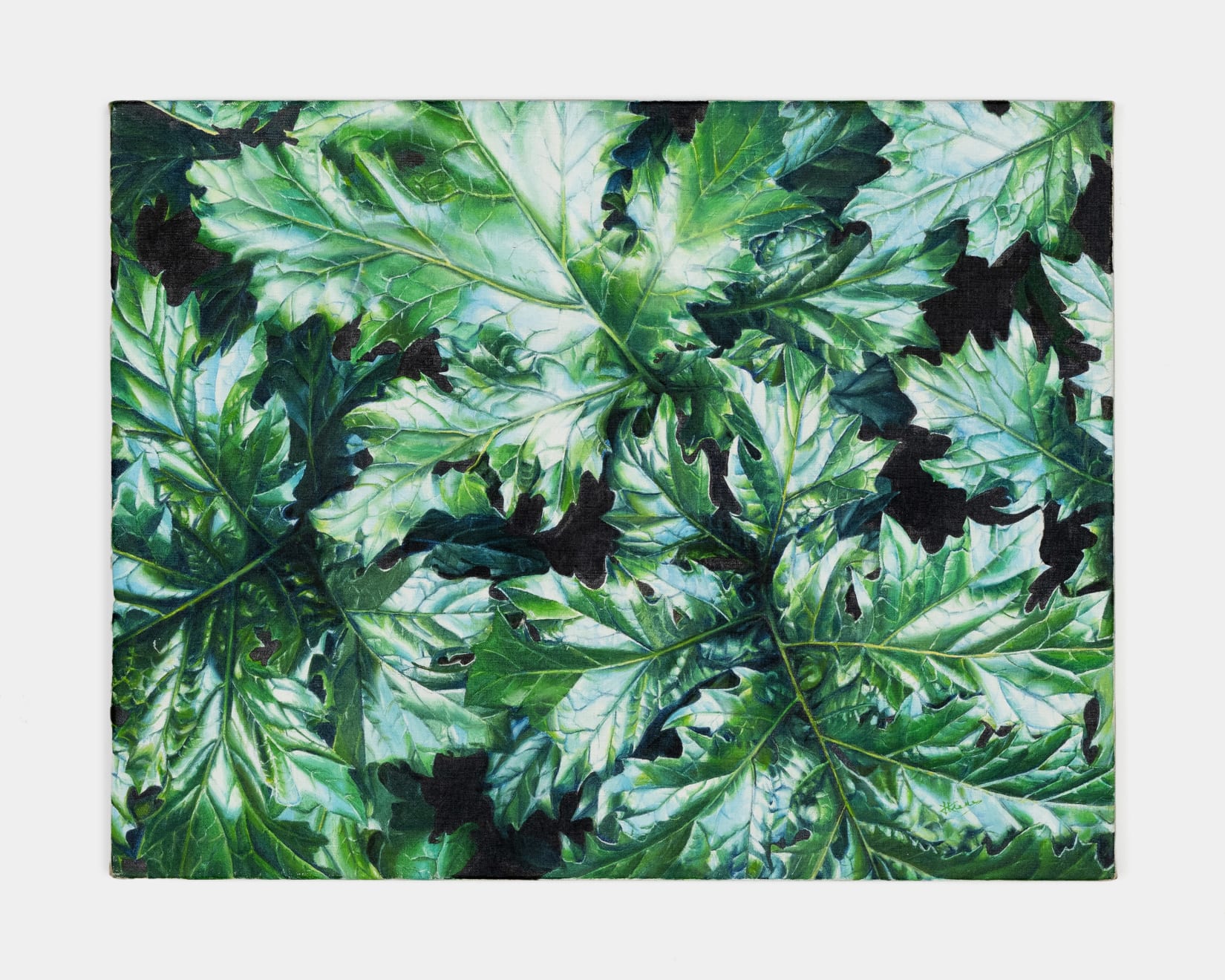 Kaoru Ueda, Acanthus B, 2013