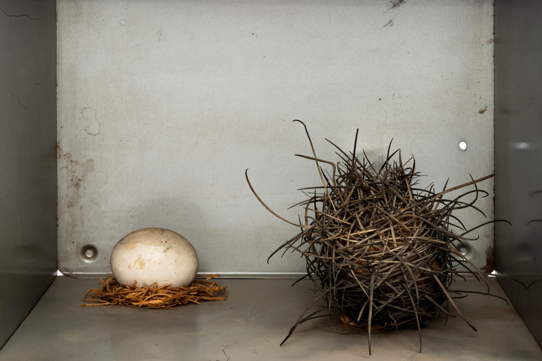 Kenzi Shiokava, Untitled, c. 1999