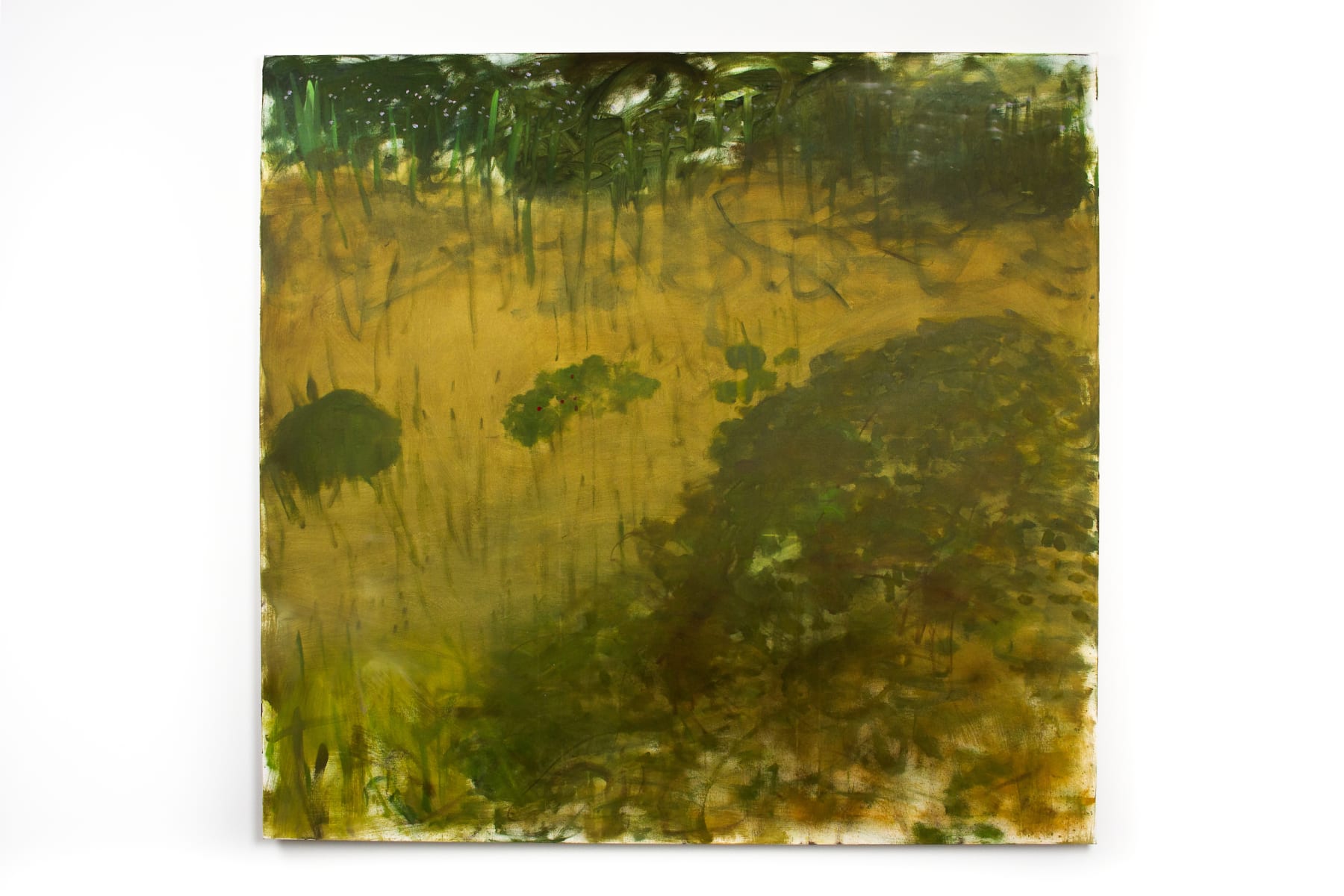 Trevor Shimizu, Lavender, 2019