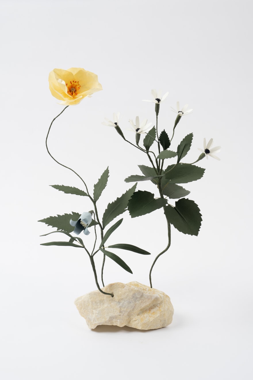Megumi Shinozaki, Ikebana (D), 2023
