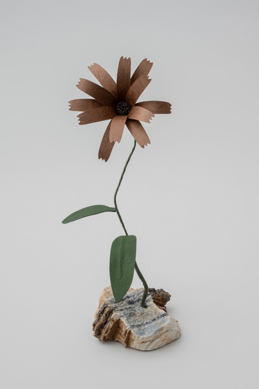 Megumi Shinozaki: edenworks, Calendula, 2020