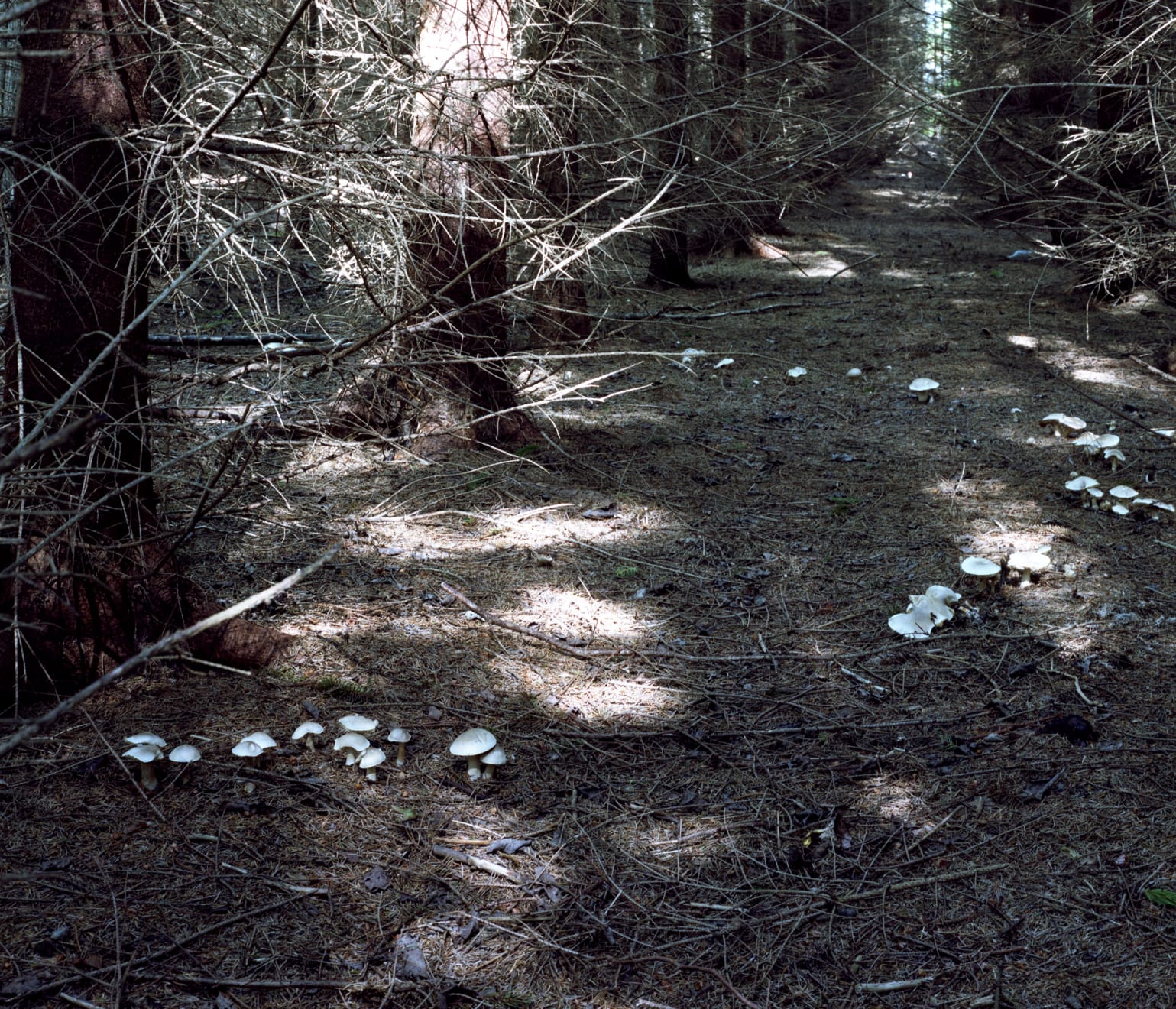 Takashi Homma, Scandinavia #10, 2015