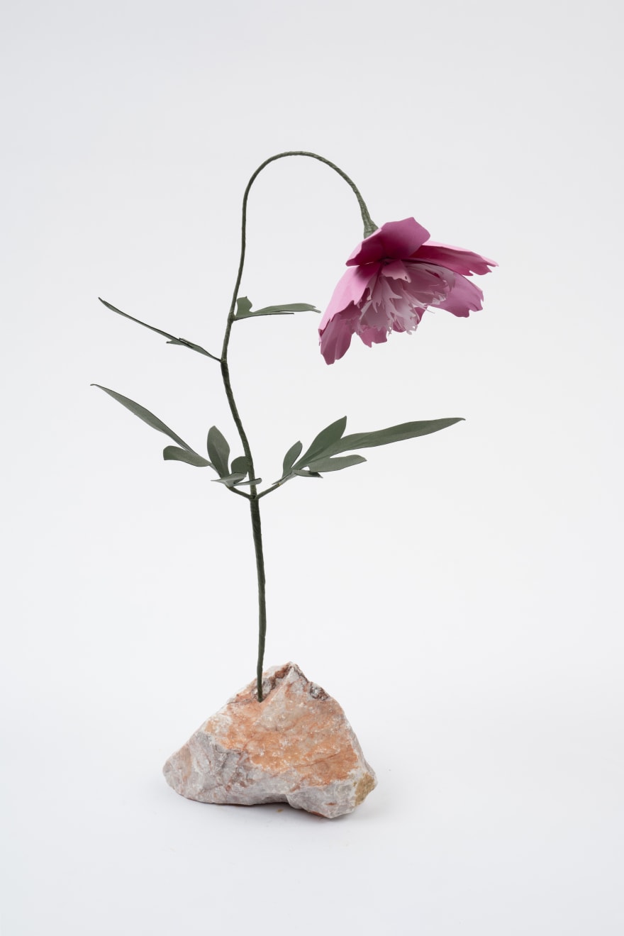 Megumi Shinozaki, Peony, 2023