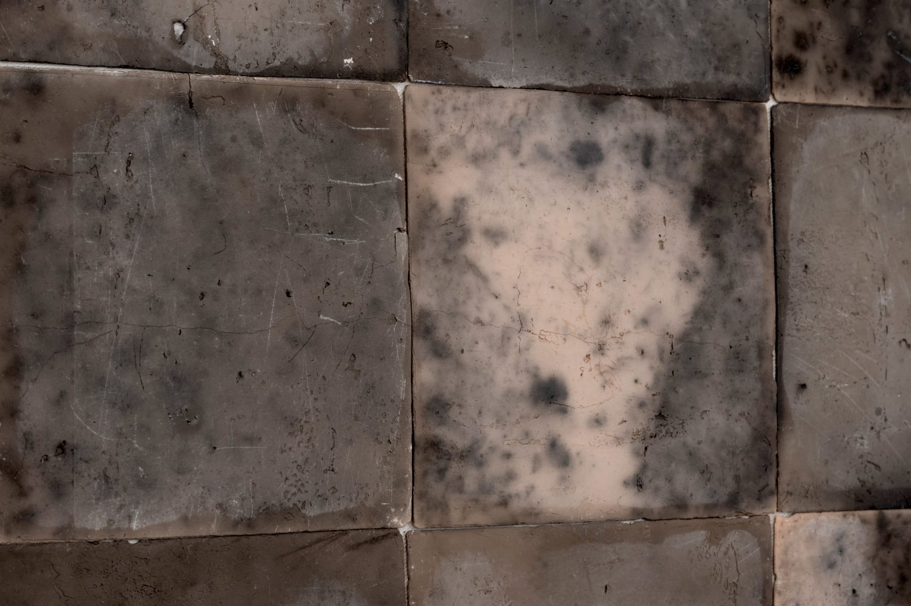 Rando Aso, Vestige, 2024