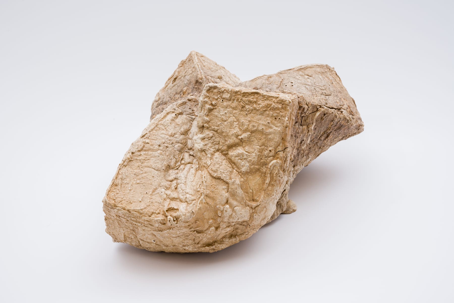 Keita Matsunaga, Cocoon, 2021