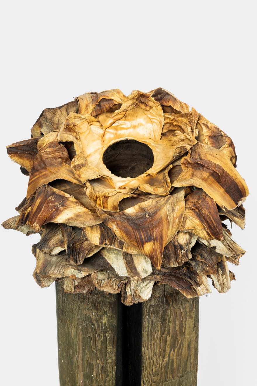 Kenzi Shiokava, Untitled, 2005