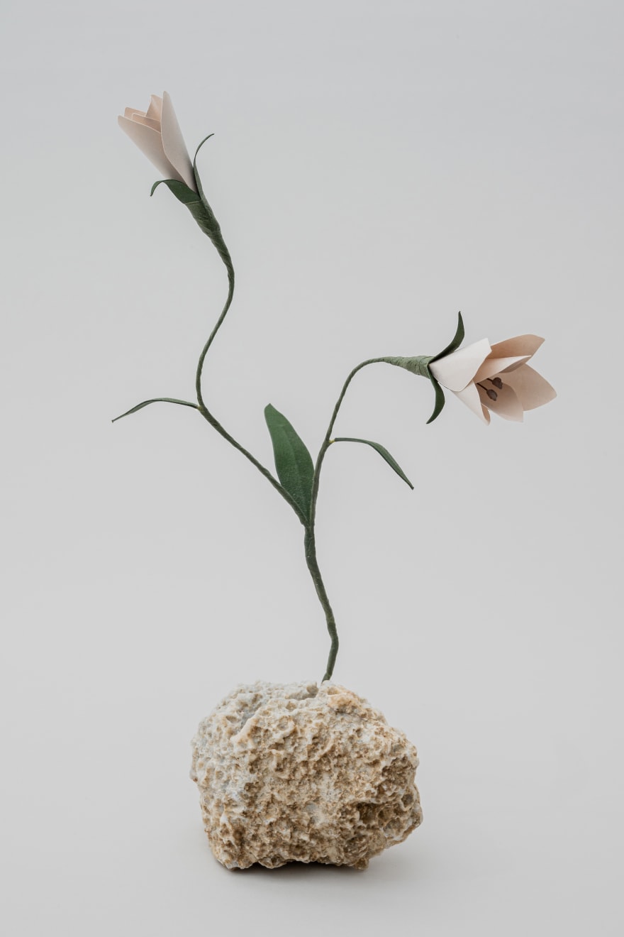 Megumi Shinozaki: edenworks, Spray Rose, 2020