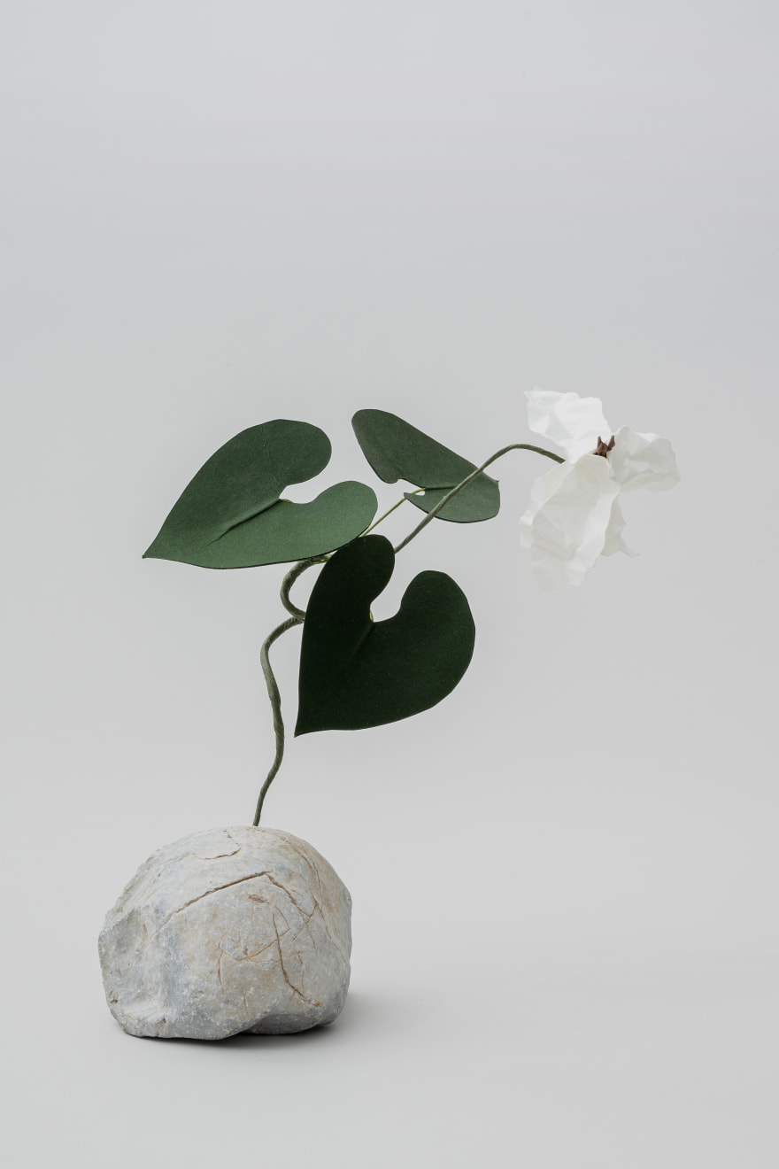 Megumi Shinozaki: edenworks, Cyclamen, 2020
