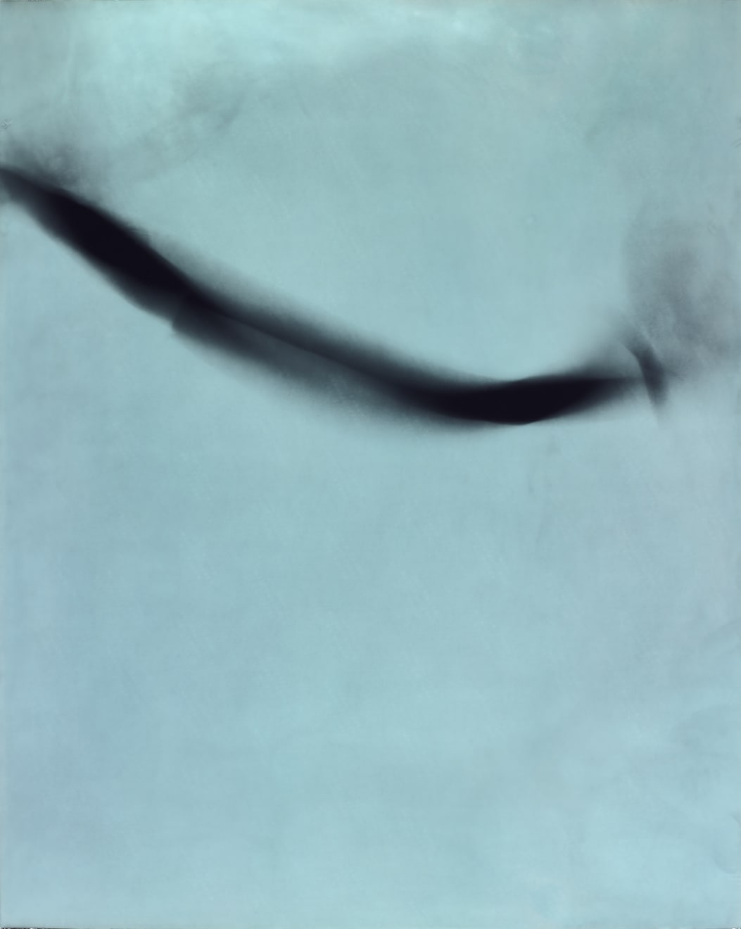 Kunié Sugiura, Eel Vertical P3, 1996
