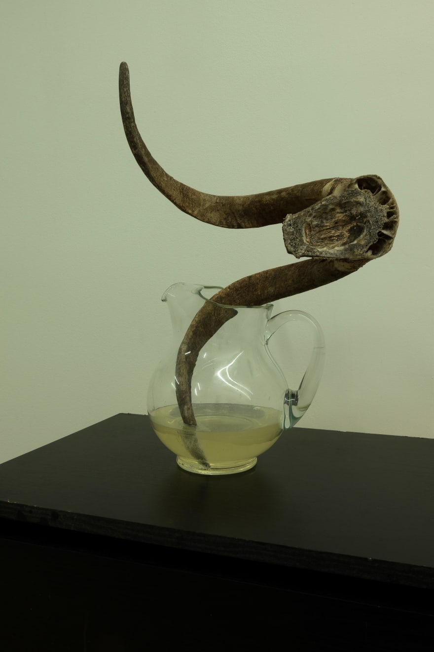 Michael E Smith, Untitled, 2022