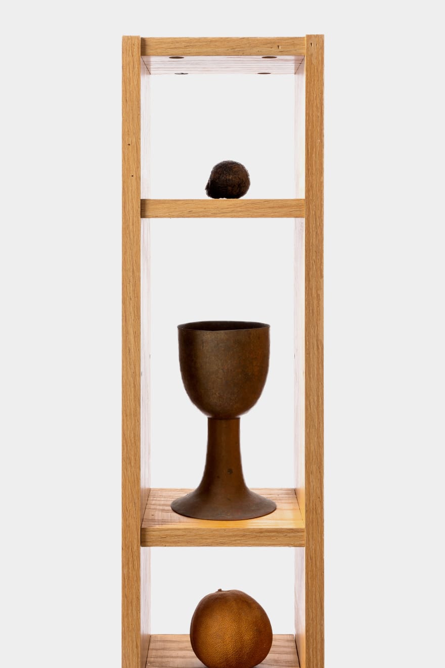 Kenzi Shiokava, Untitled, n.d.