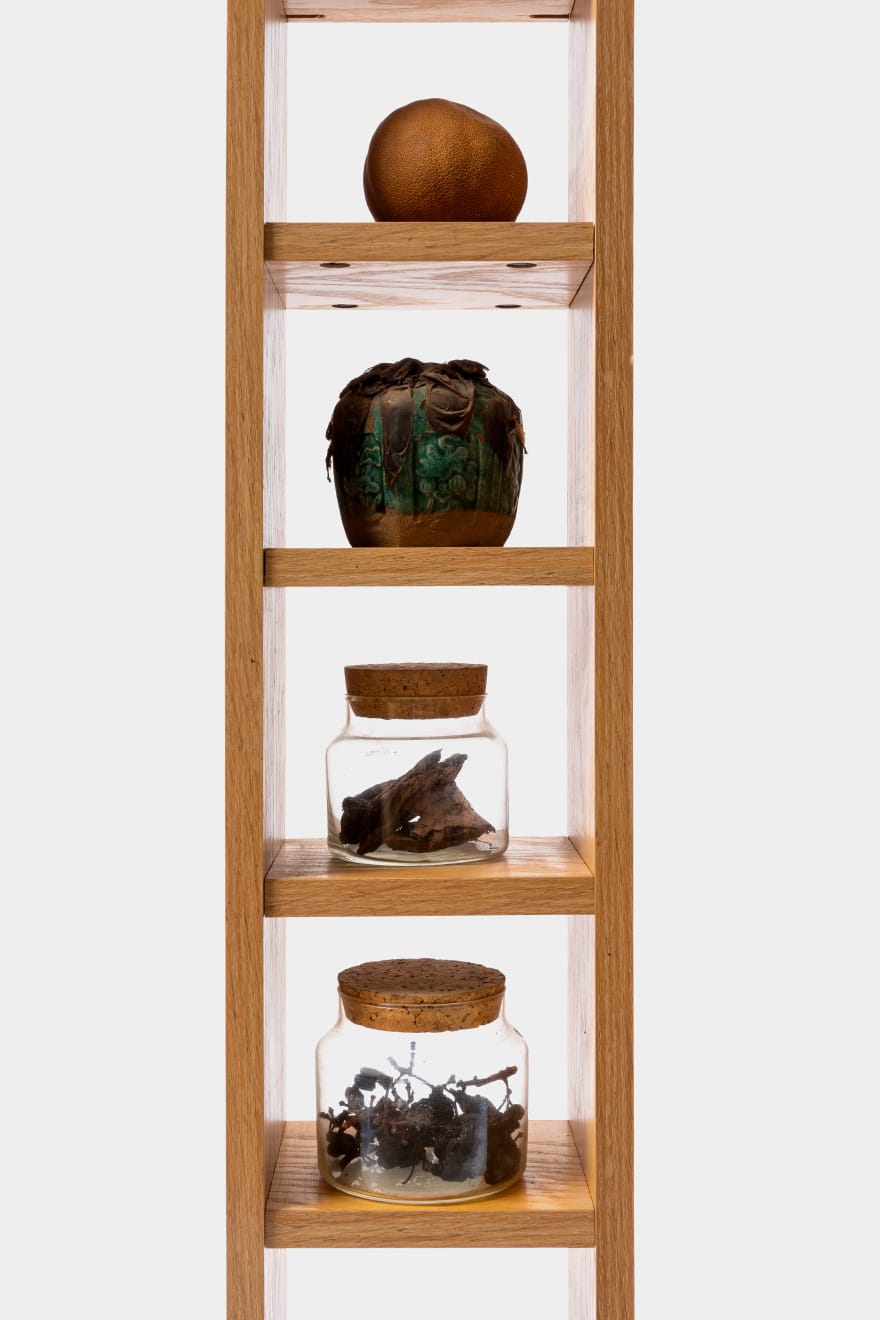 Kenzi Shiokava, Untitled, n.d.