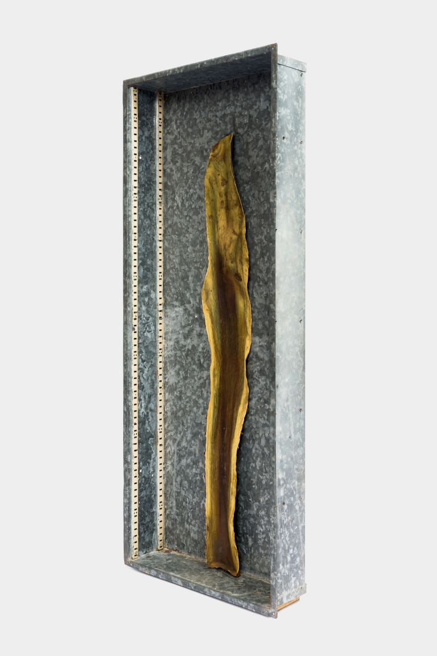 Kenzi Shiokava, Untitled, n.d.