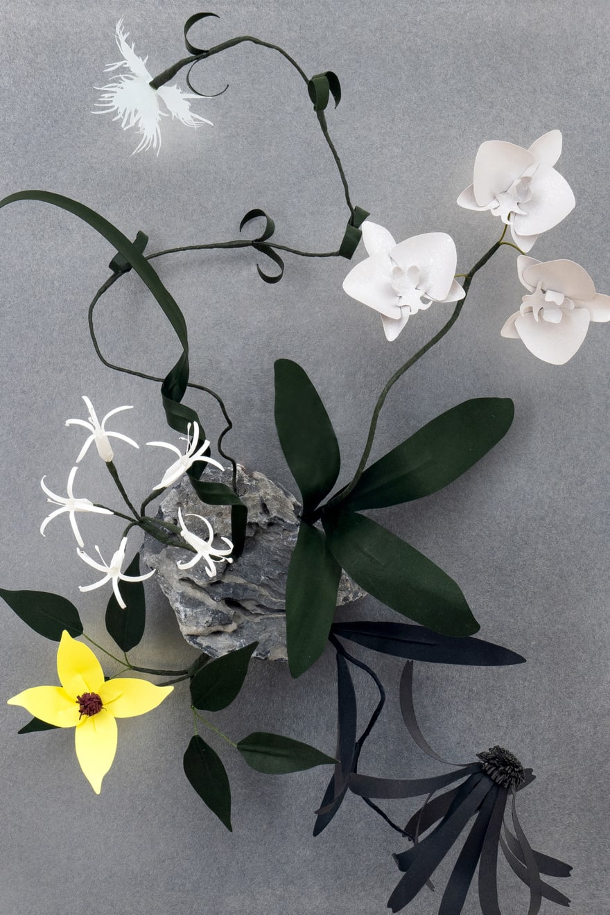 Megumi Shinozaki, Growth