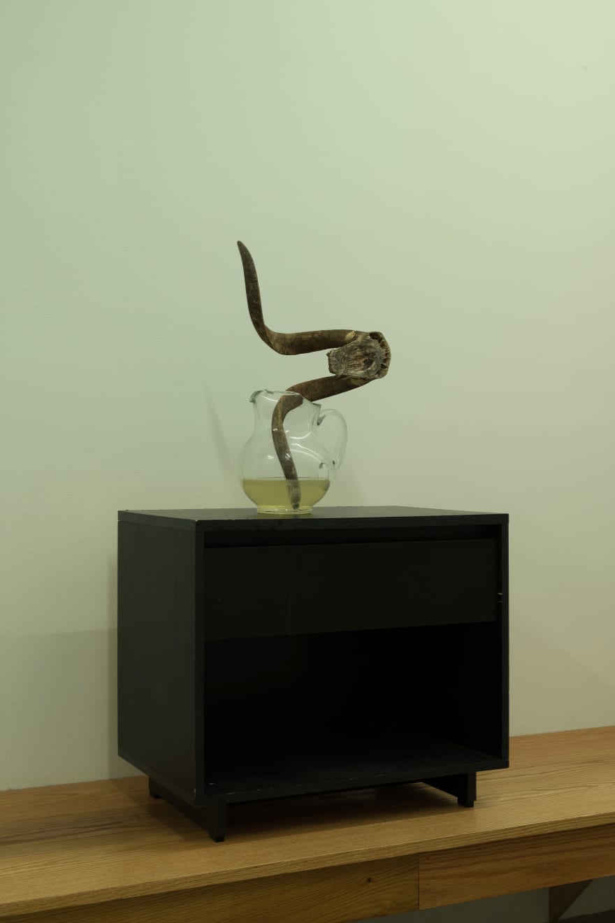 Michael E Smith, Untitled, 2022