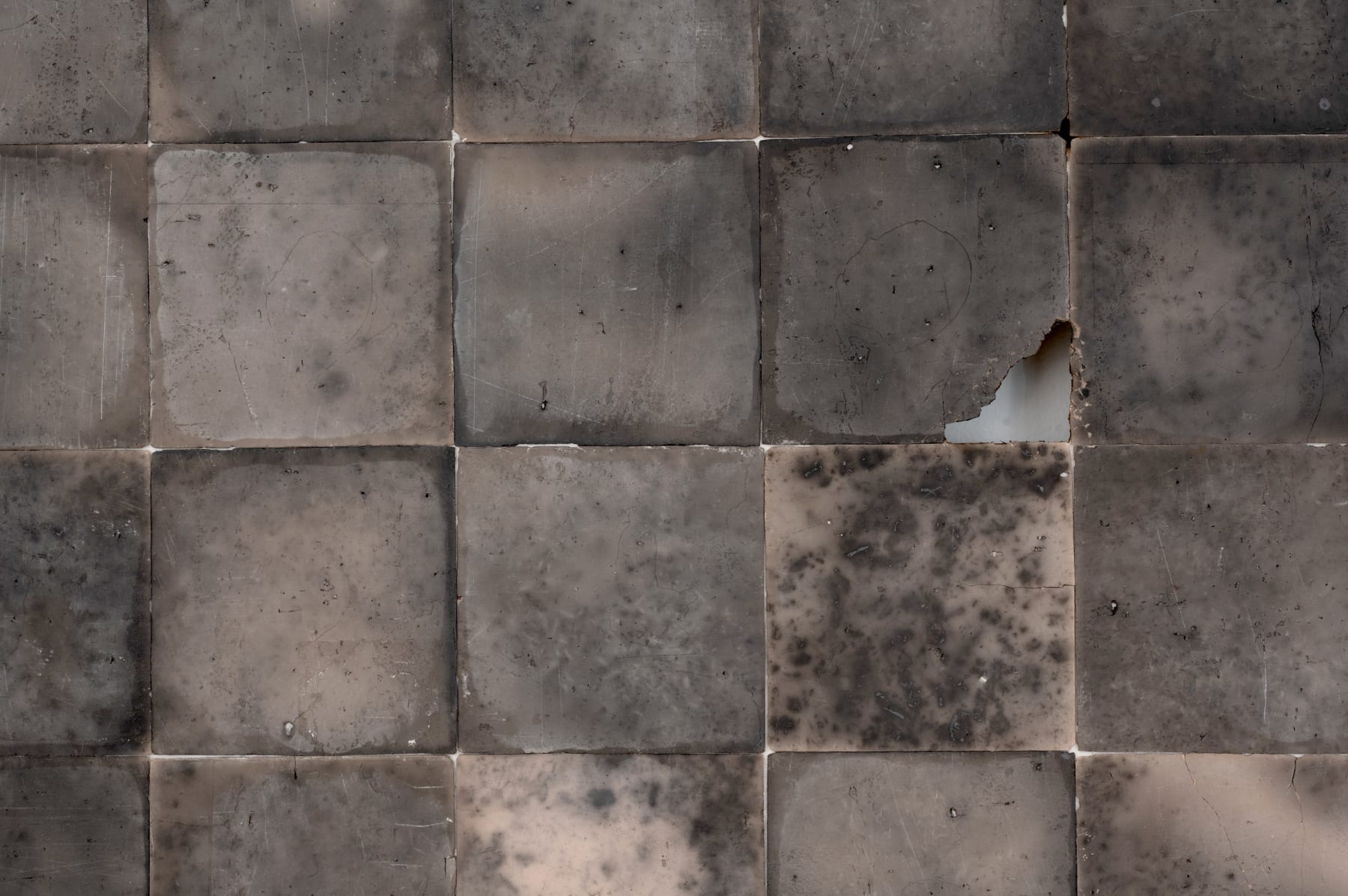 Rando Aso, Vestige, 2024