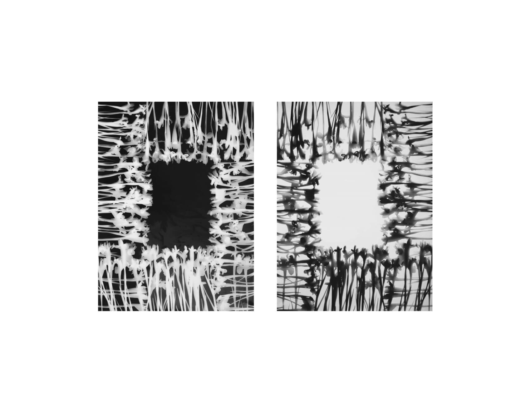 Kunié Sugiura, Stack Irises C9 & Stack Irises C9p, 1999