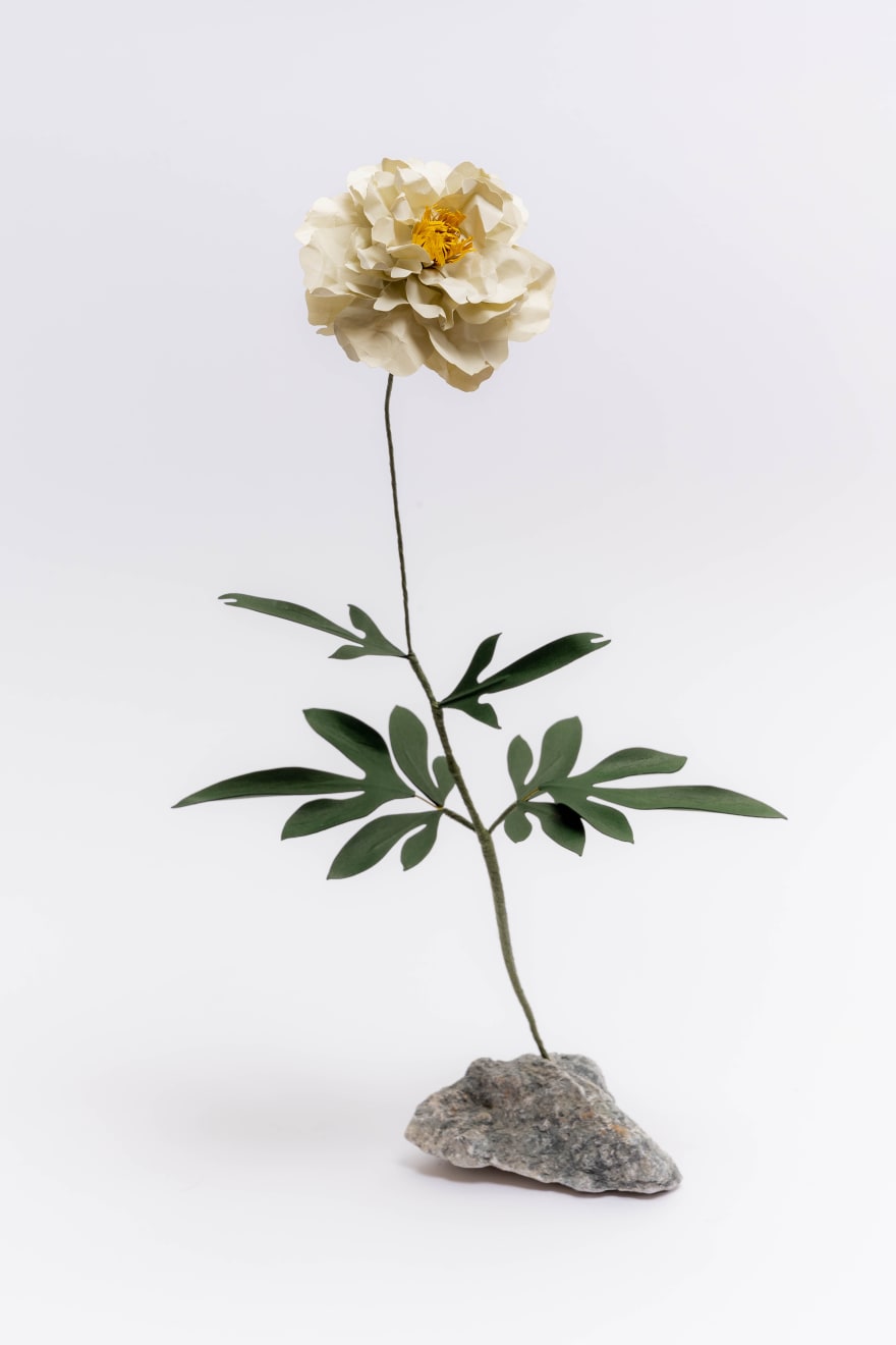 Megumi Shinozaki: edenworks, Peony, 2022