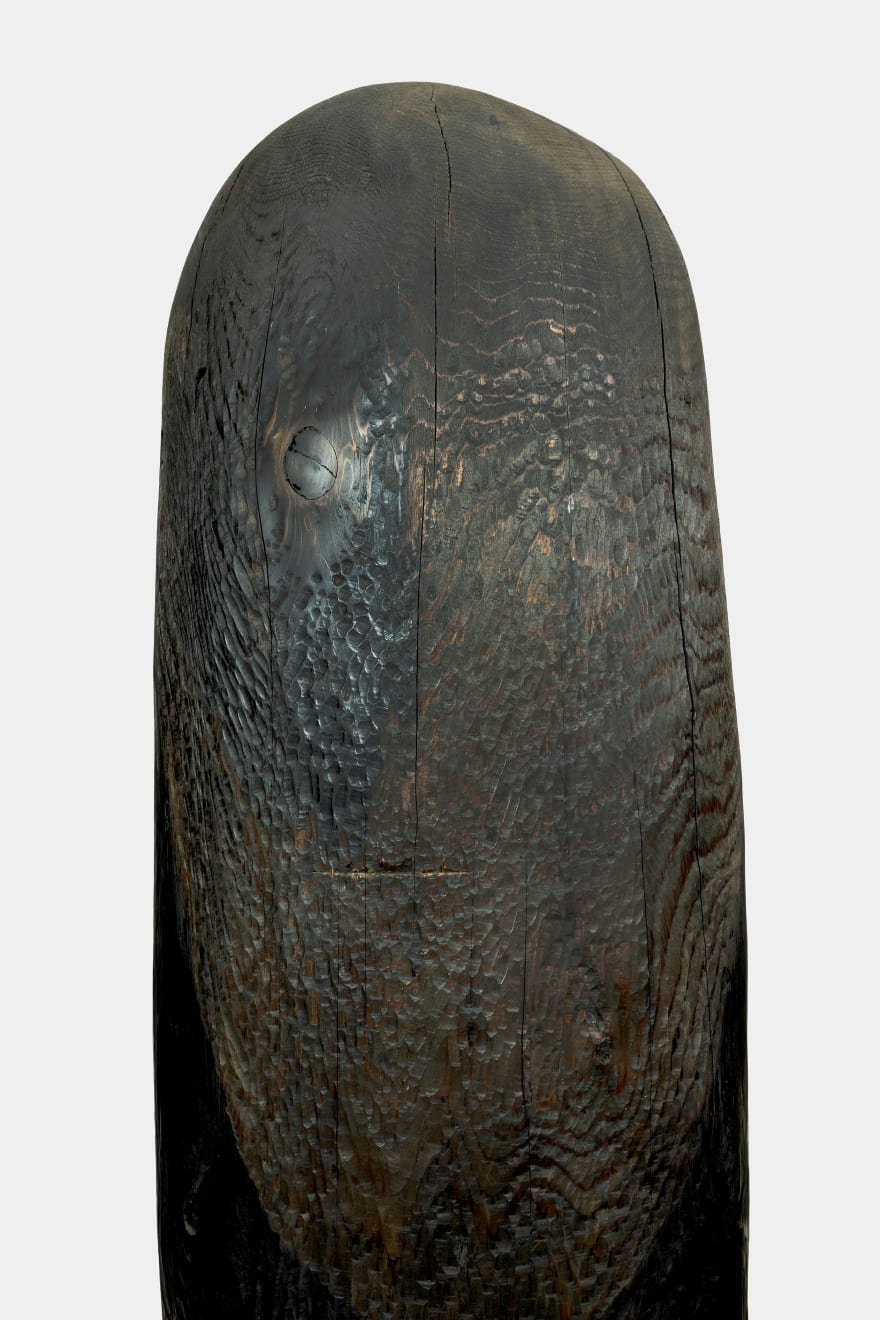 Kenzi Shiokava, Primal Totem X, 1999