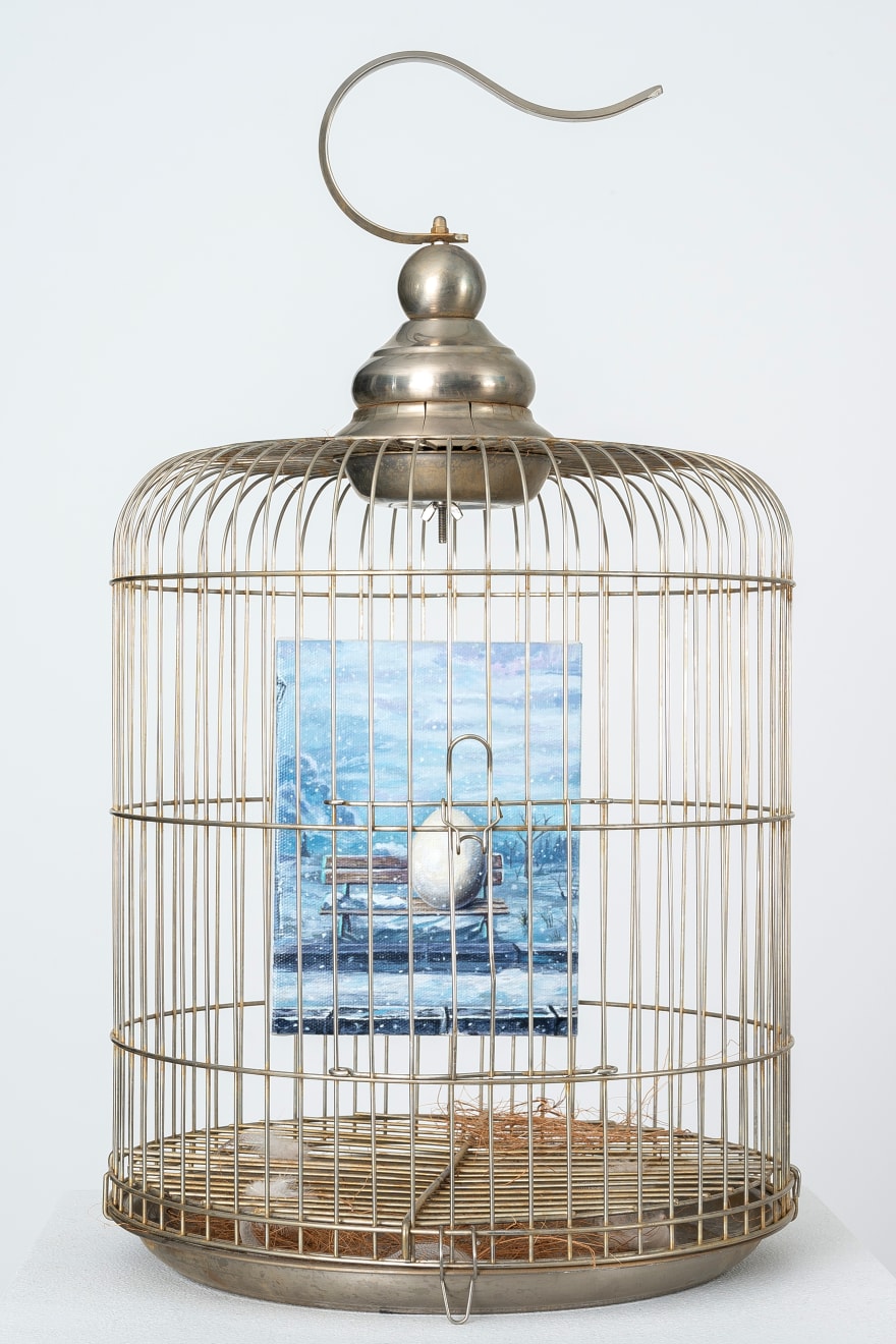 Cobra, Story of egg (bird gallery for bird), 2021
