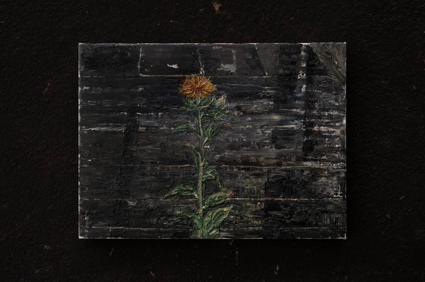 Takeshi Honda, 紅花 (囲炉裏), 2017