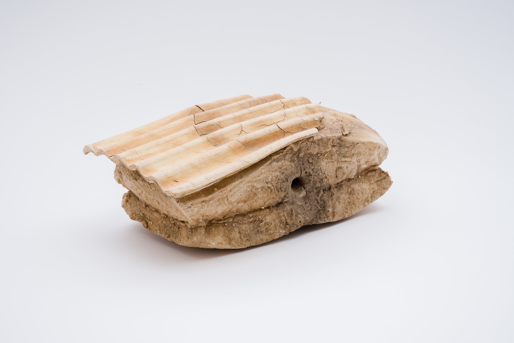 Keita Matsunaga, Cocoon, 2021