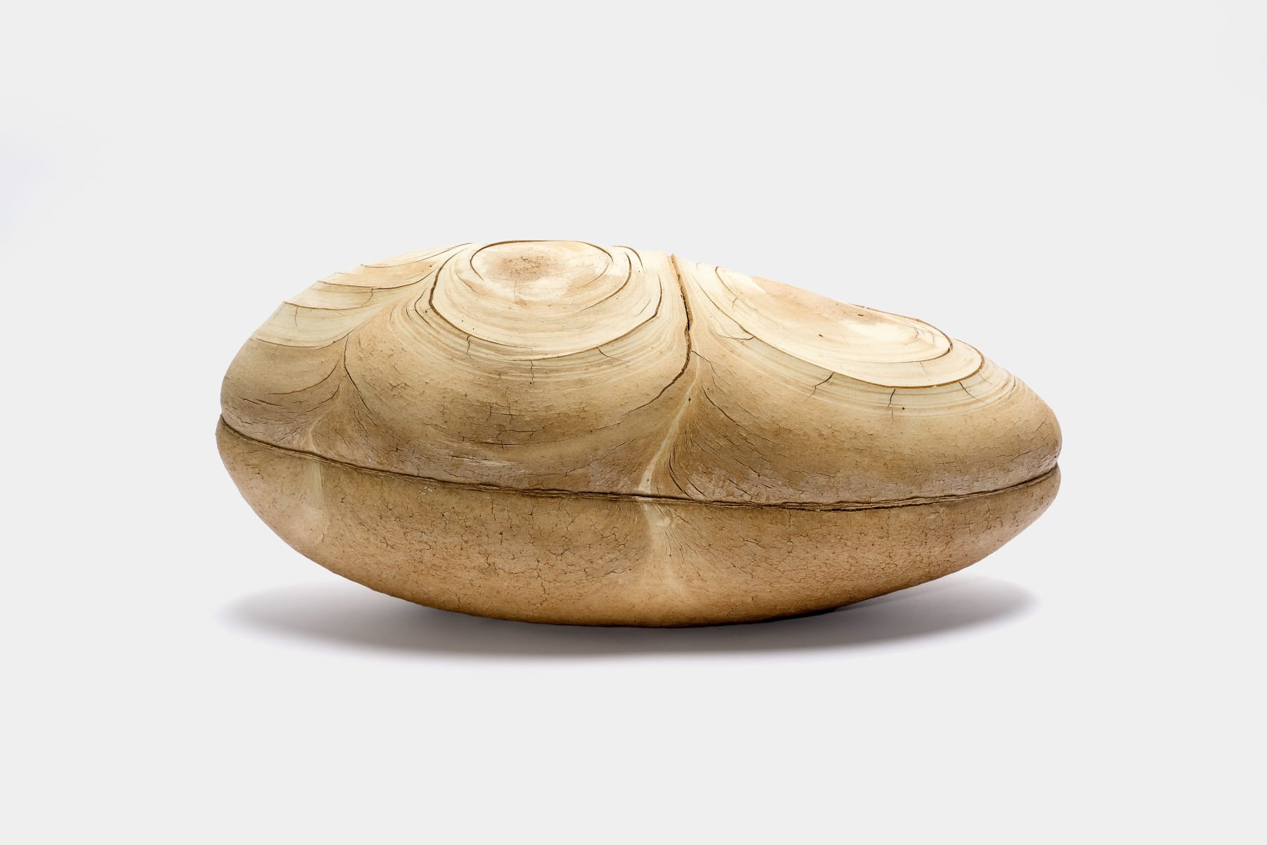 Keita Matsunaga, Cocoon, 2023